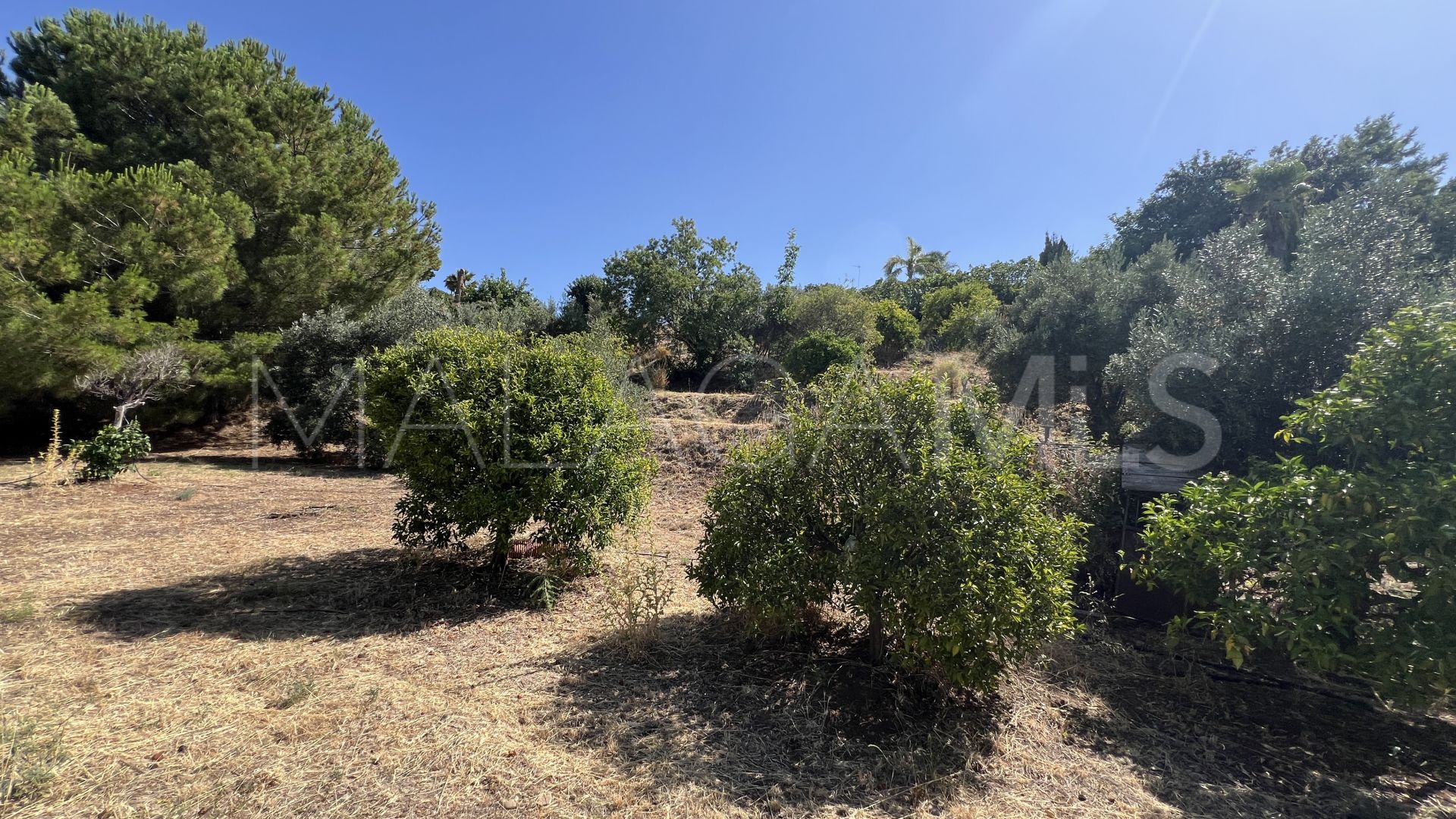 El Velerin 3 bedrooms finca for sale