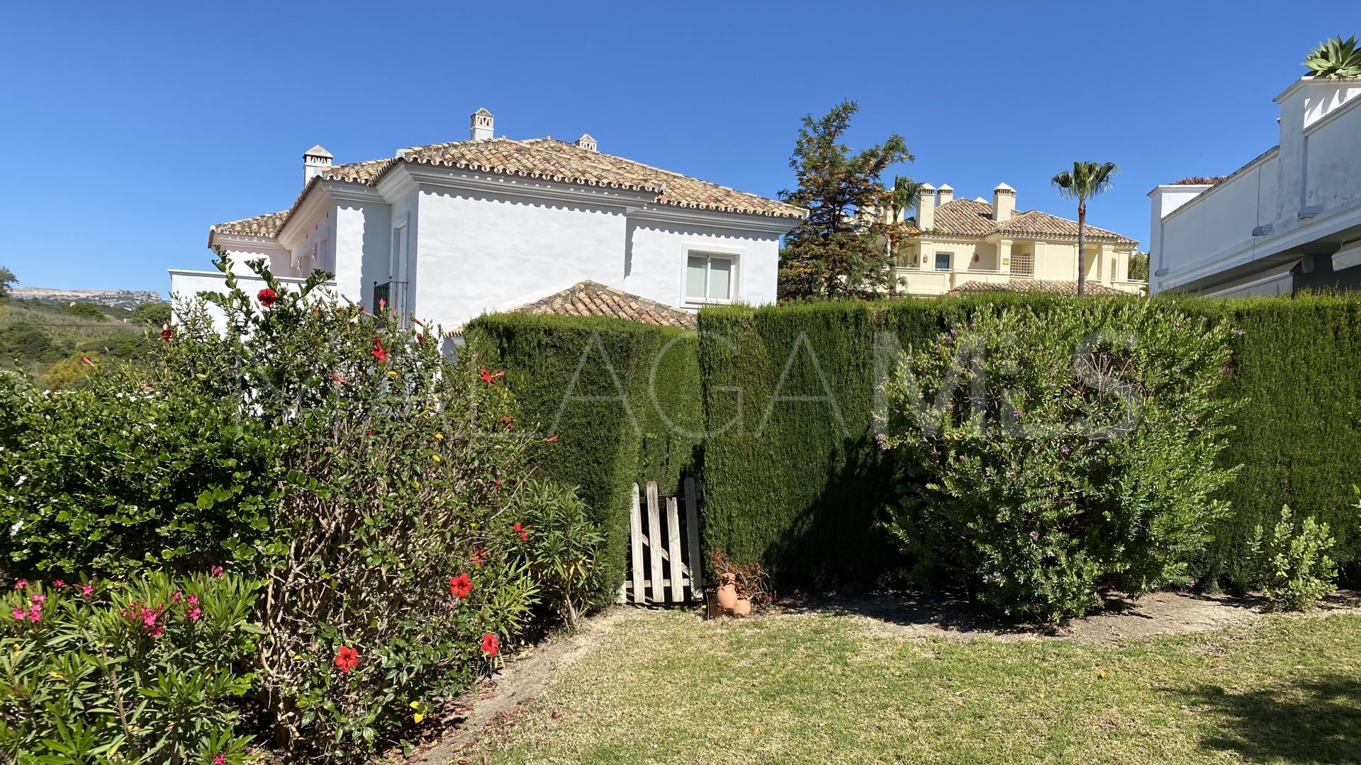 Buy apartamento planta baja in Casares Playa