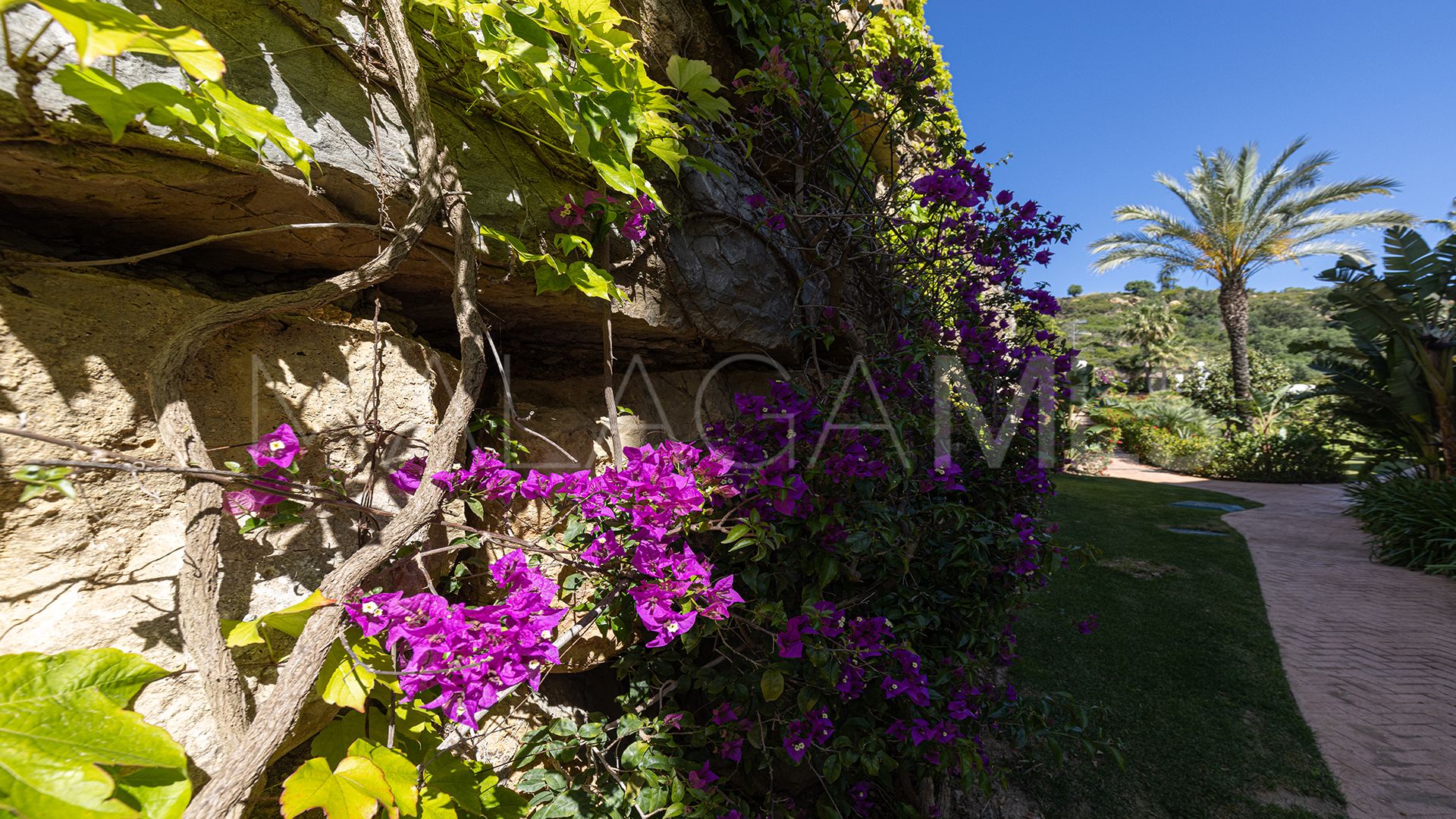 Wohnung for sale in Finca Cortesin