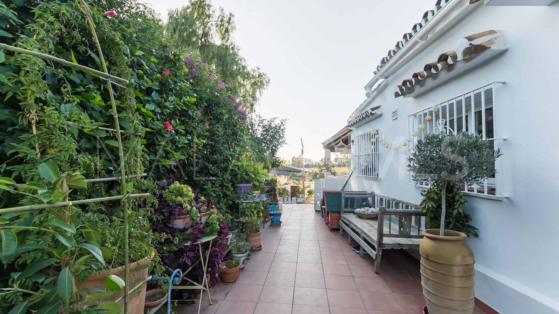 4 bedrooms San Pedro de Alcantara house for sale