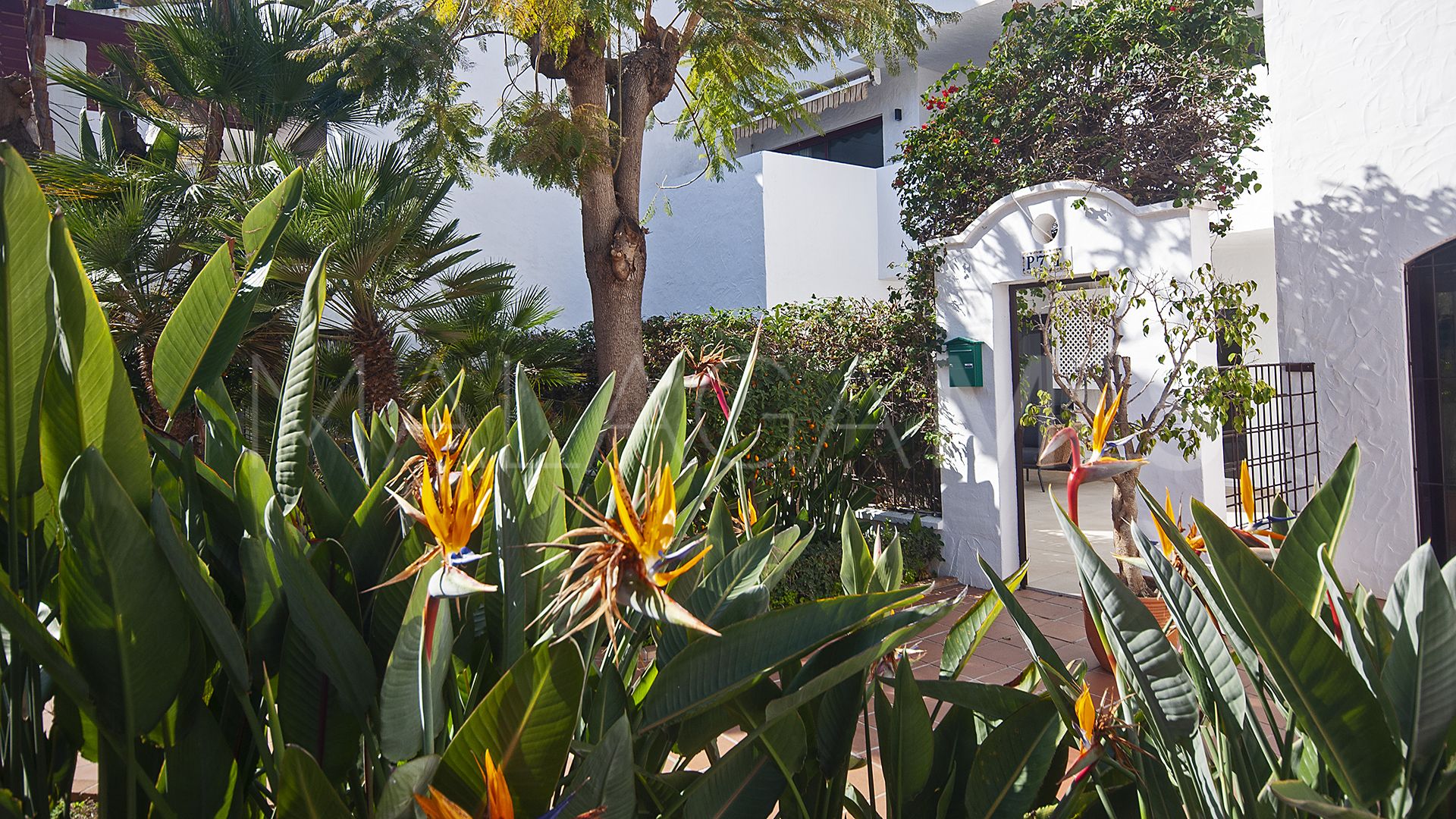 Appartement rez de chaussée for sale in Nueva Andalucia