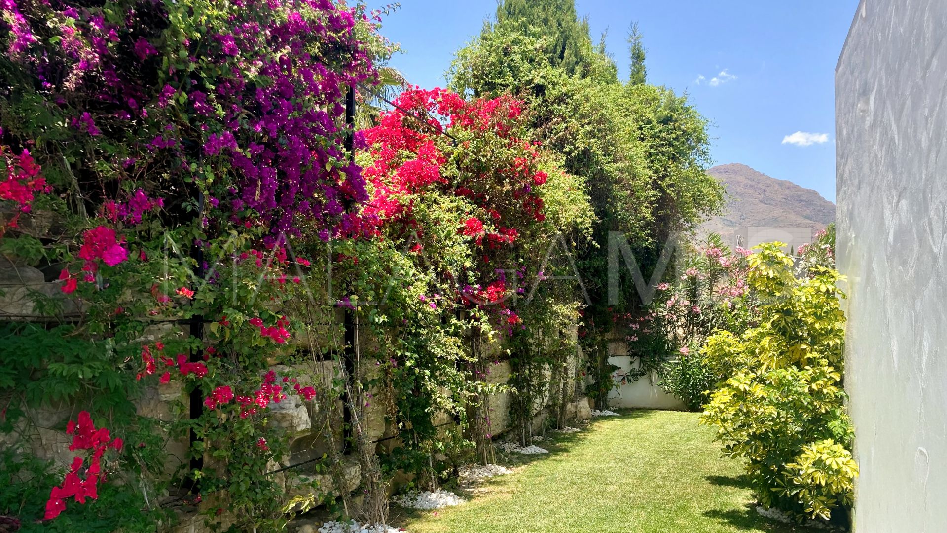 Buy villa in Valle Romano