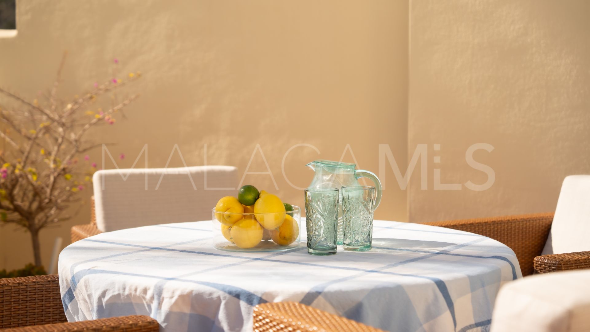 Apartamento planta baja for sale de 2 bedrooms in Puerto del Almendro