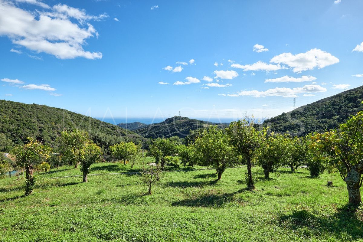 Finca for sale in Estepona