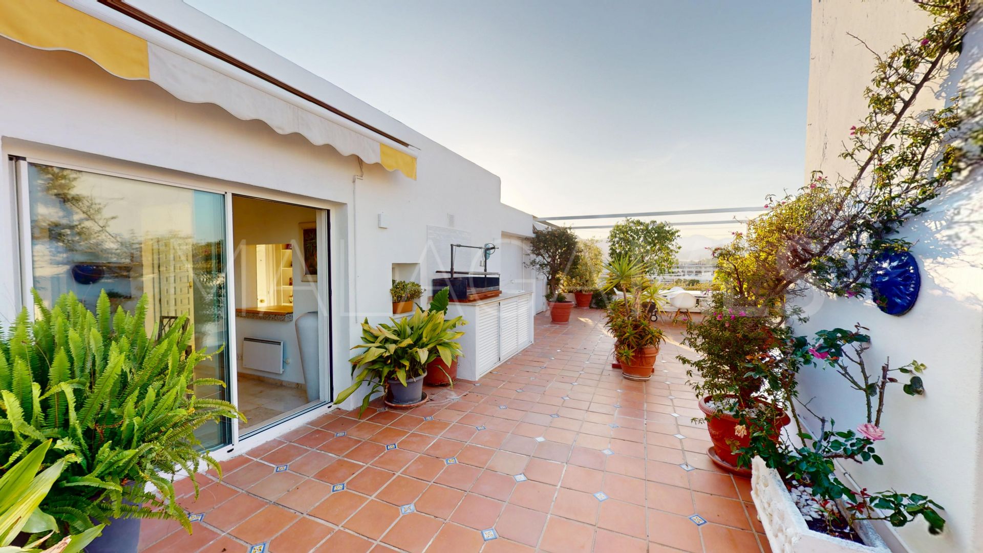 Penthaus for sale in Guadalmina Alta