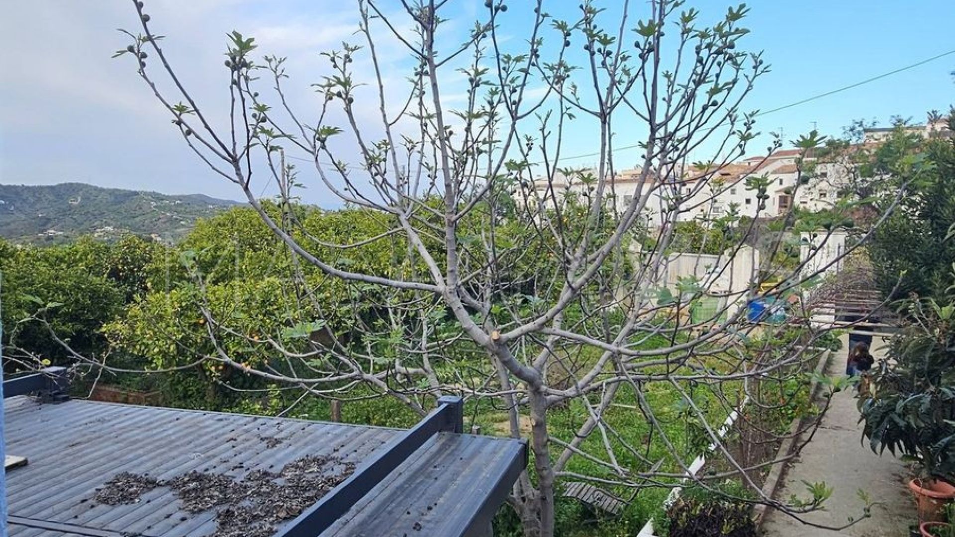 Villa for sale in Monda