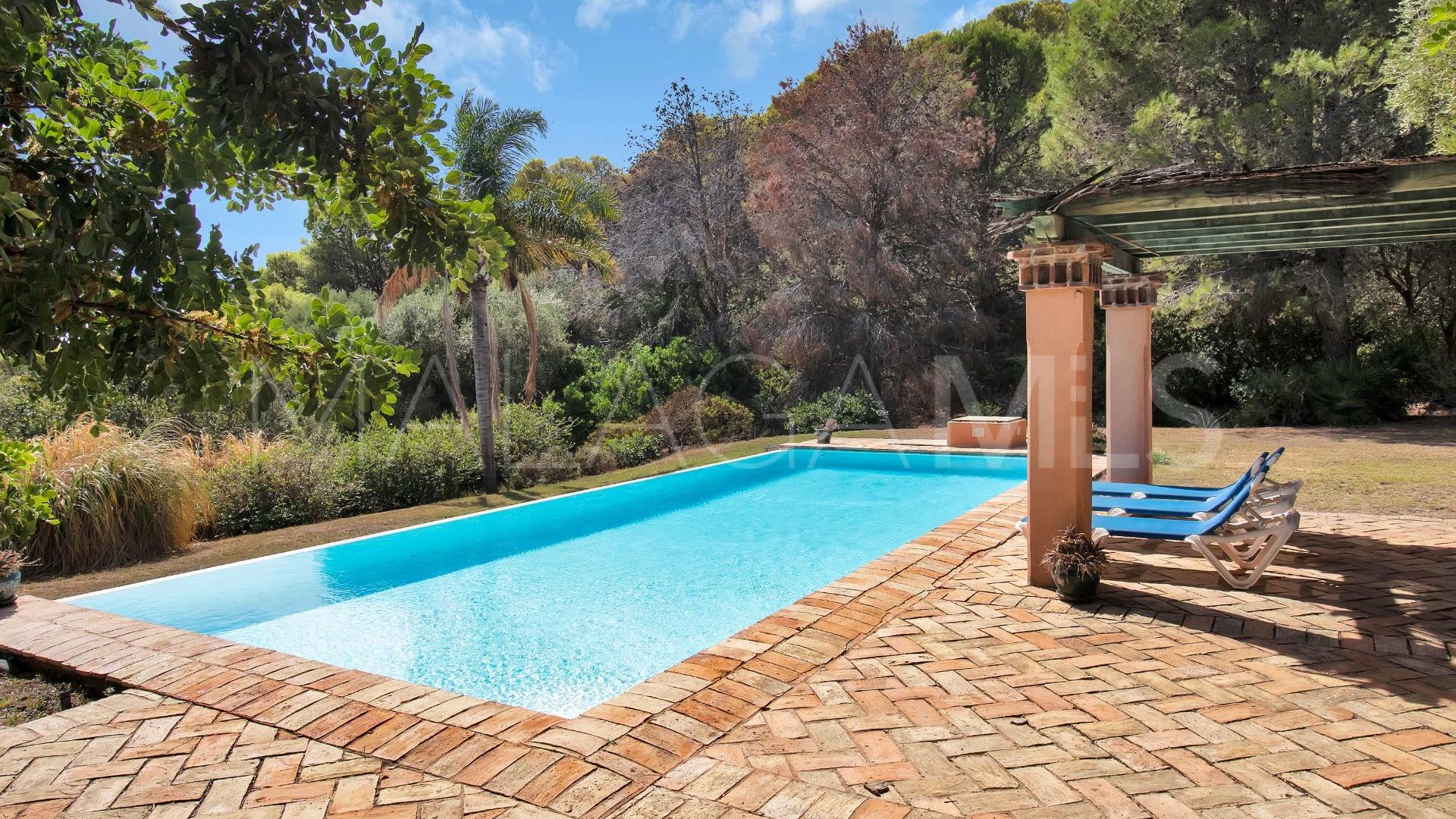 Se vende cortijo de 5 bedrooms in Gaucin
