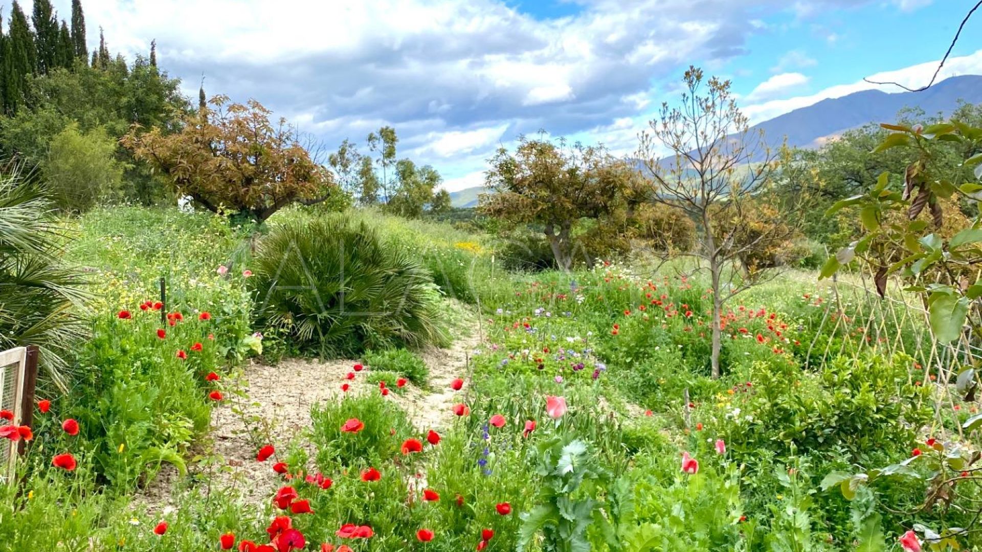 Cortijo for sale in Gaucin