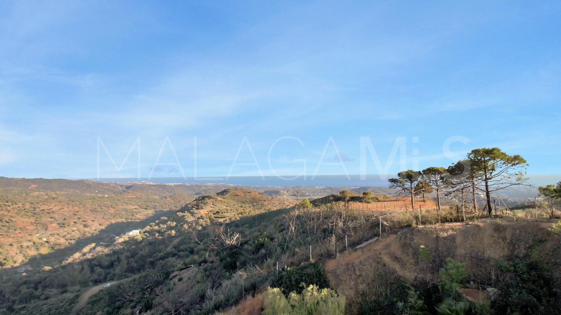 Villa for sale in Marbella Ciudad
