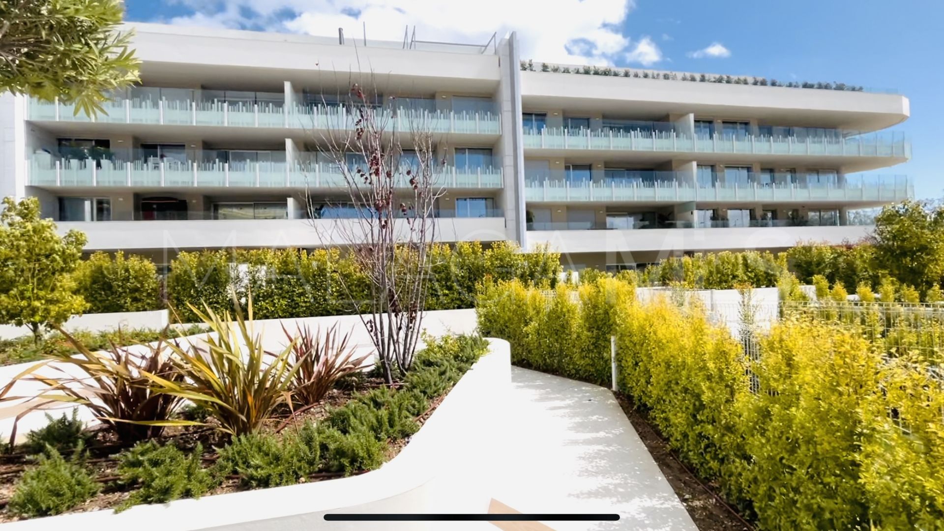 Local comercial for sale in San Pedro de Alcantara