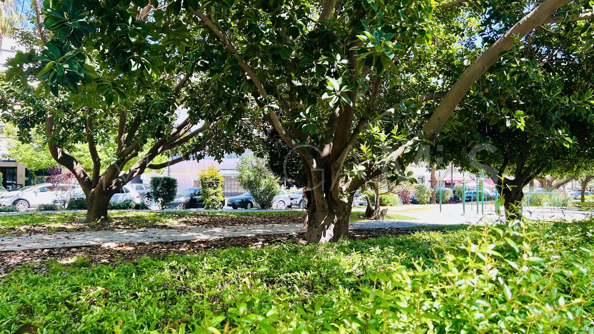 Local comercial for sale in San Pedro de Alcantara