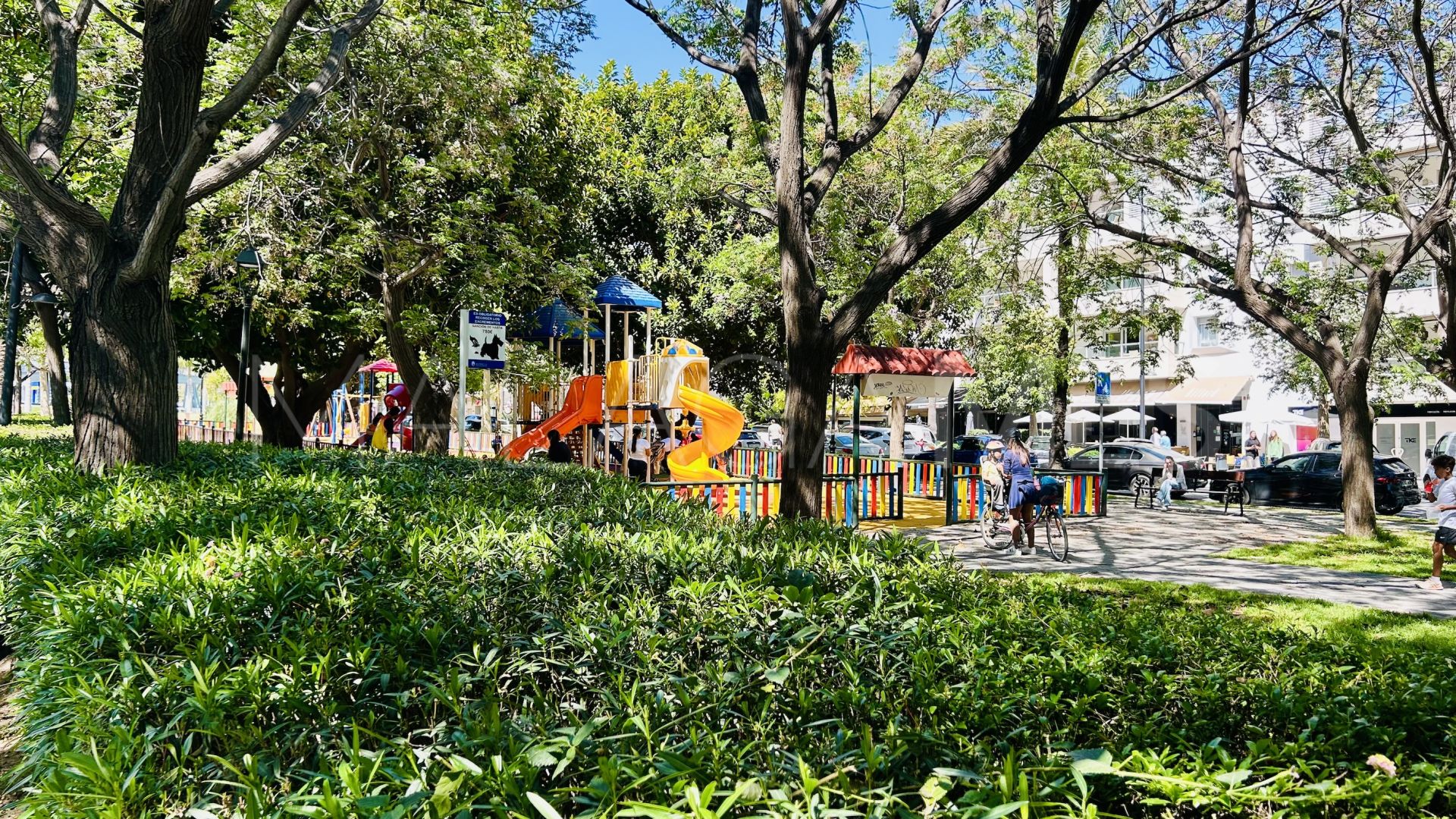 Local comercial for sale in San Pedro de Alcantara