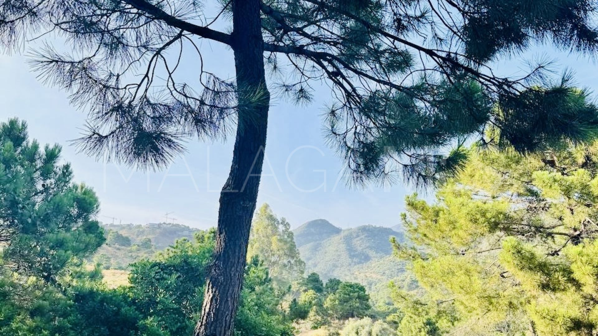 Terrain for sale in Monte Mayor