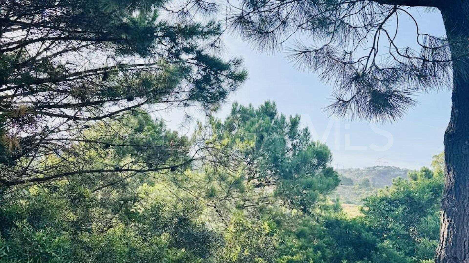 Terrain for sale in Monte Mayor