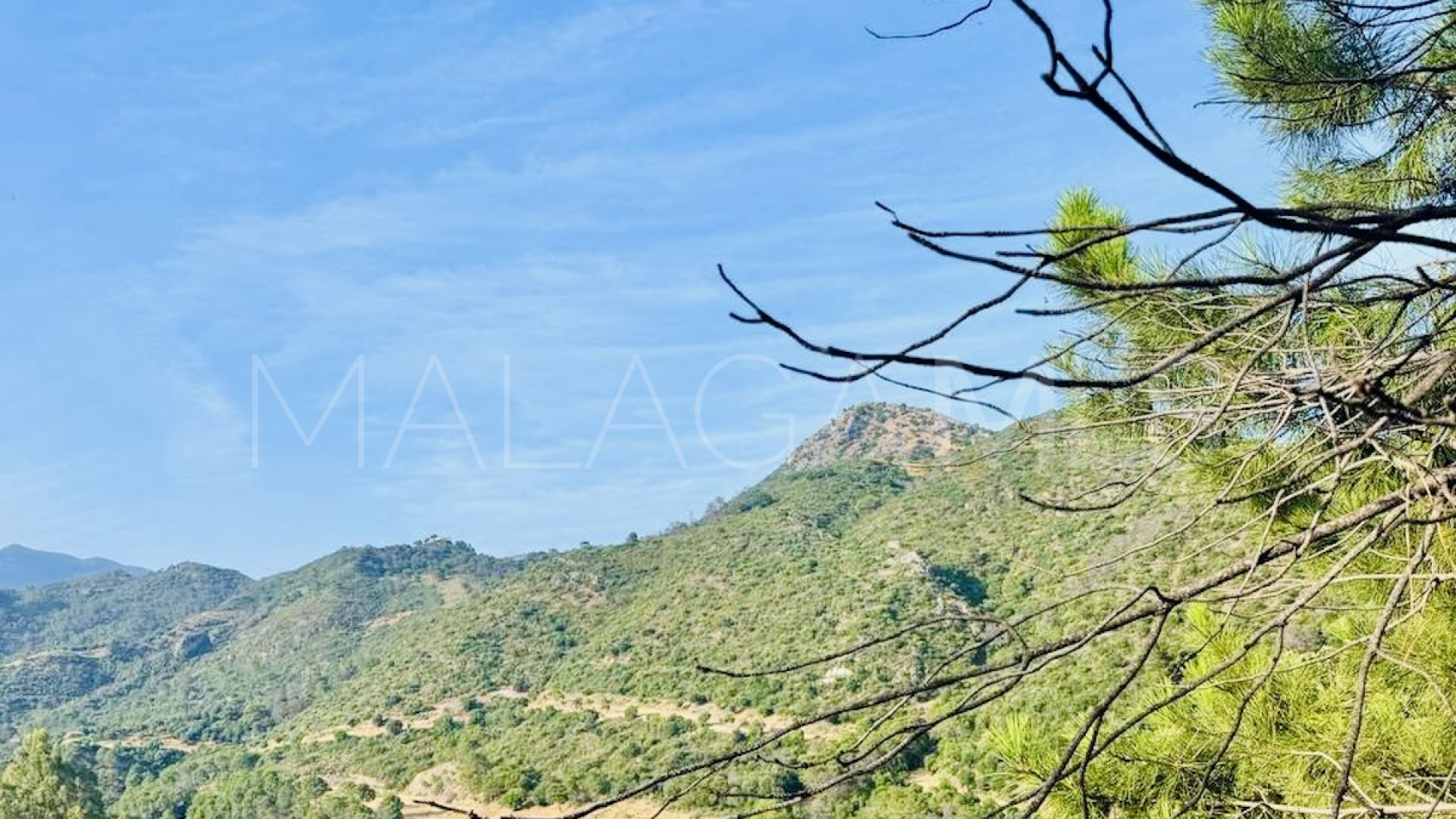 Terrain for sale in Monte Mayor