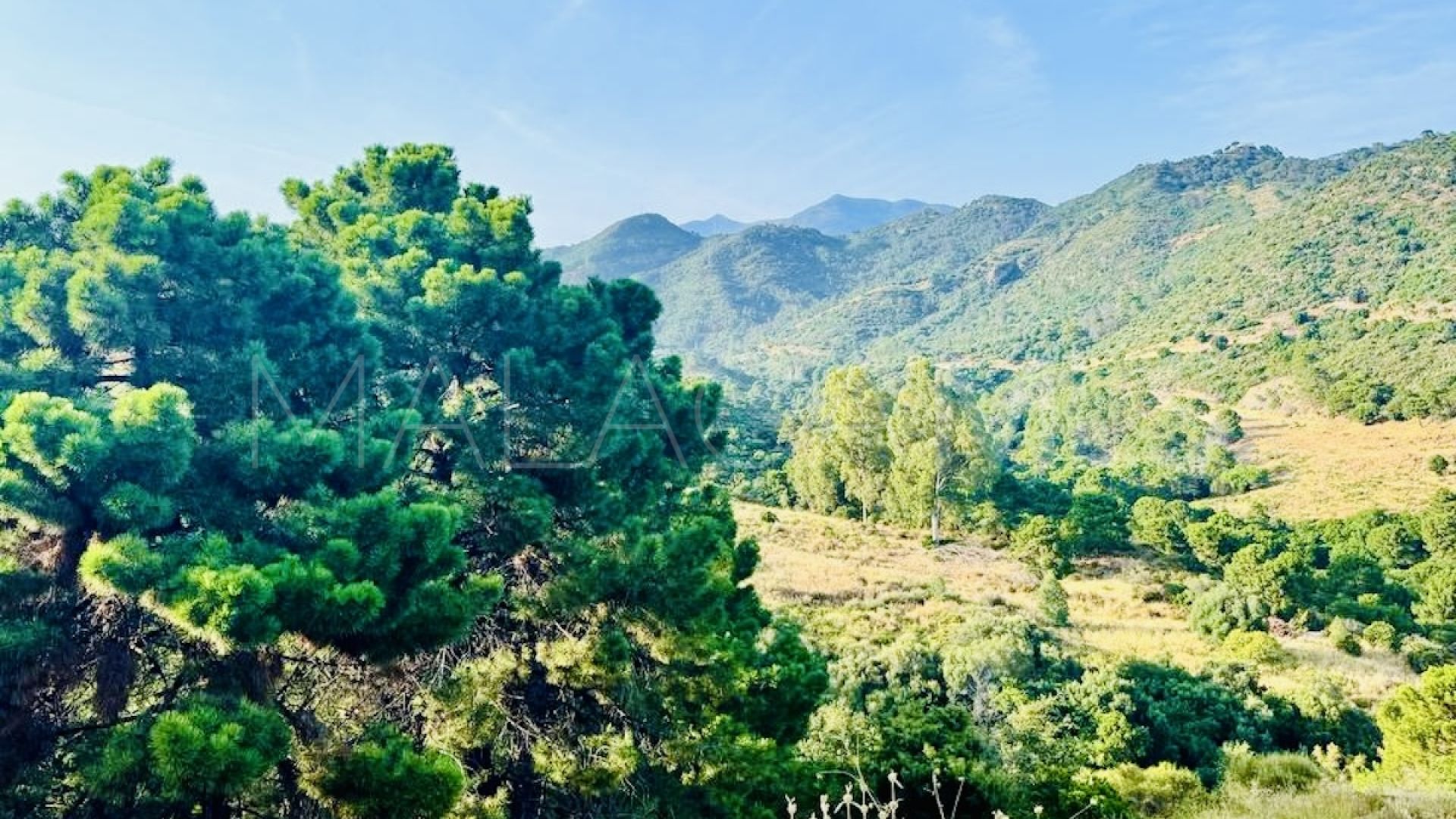 Terrain for sale in Monte Mayor