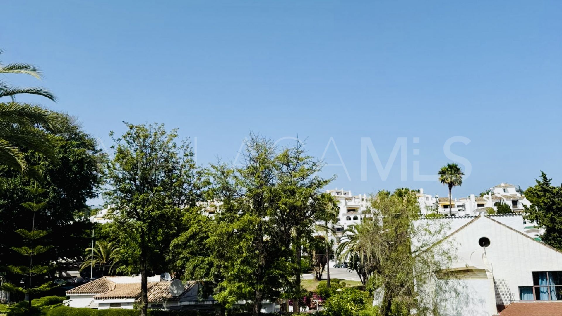 Appartement terrasse for sale in Nueva Andalucia