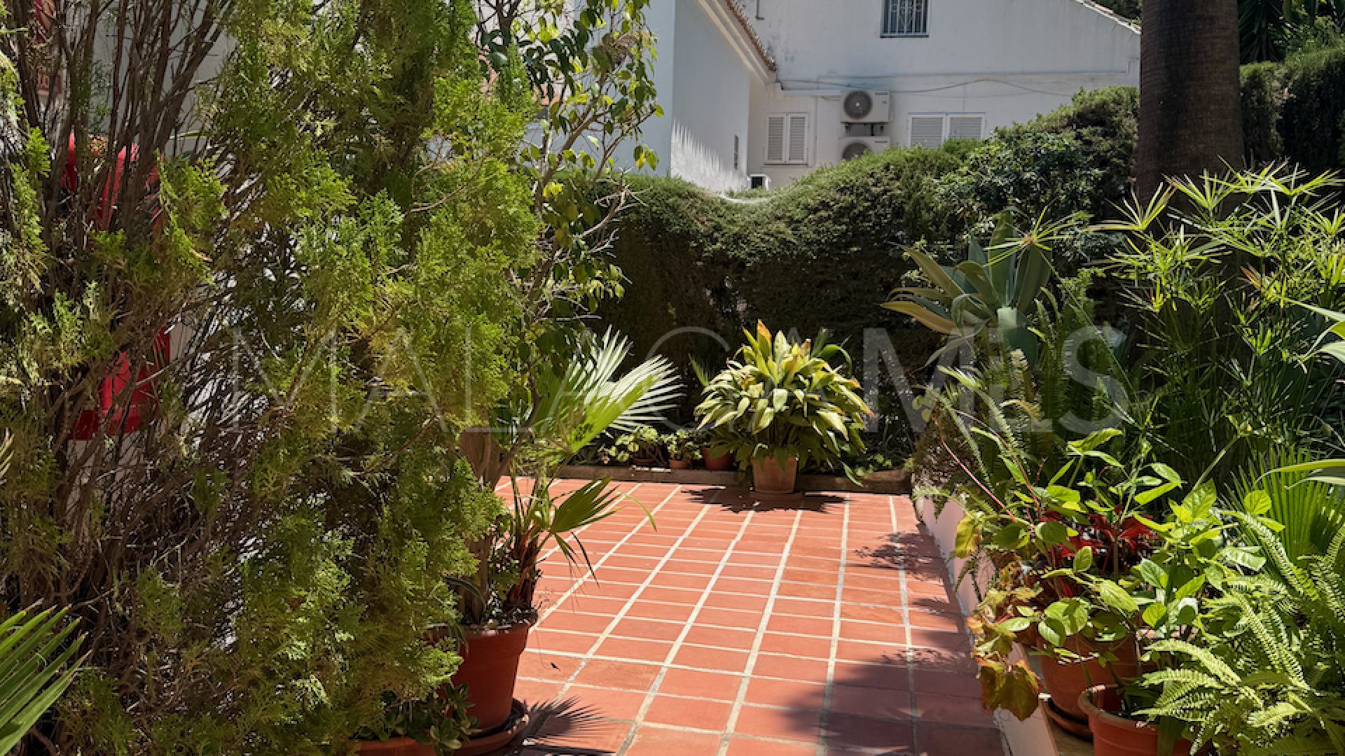 Appartement terrasse for sale in Nueva Andalucia