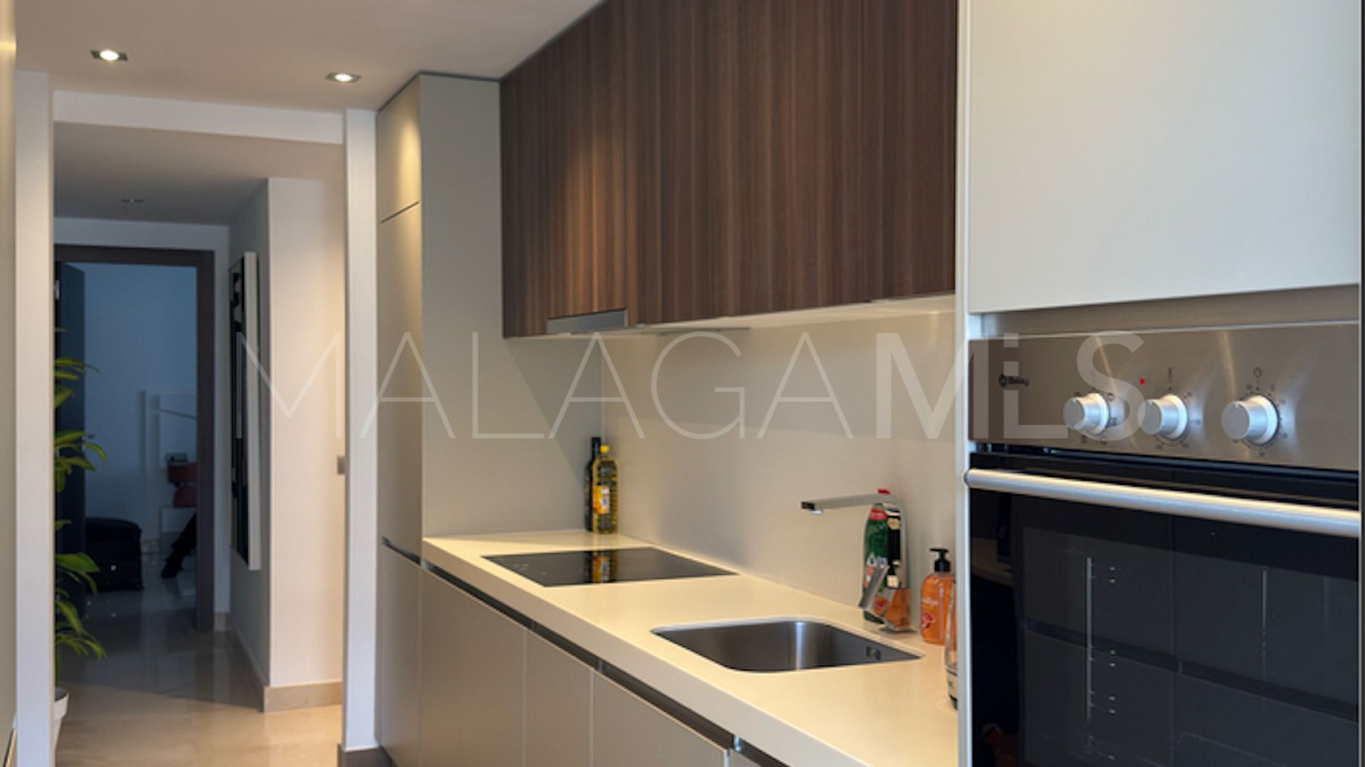 Appartement terrasse for sale in San Pedro de Alcantara