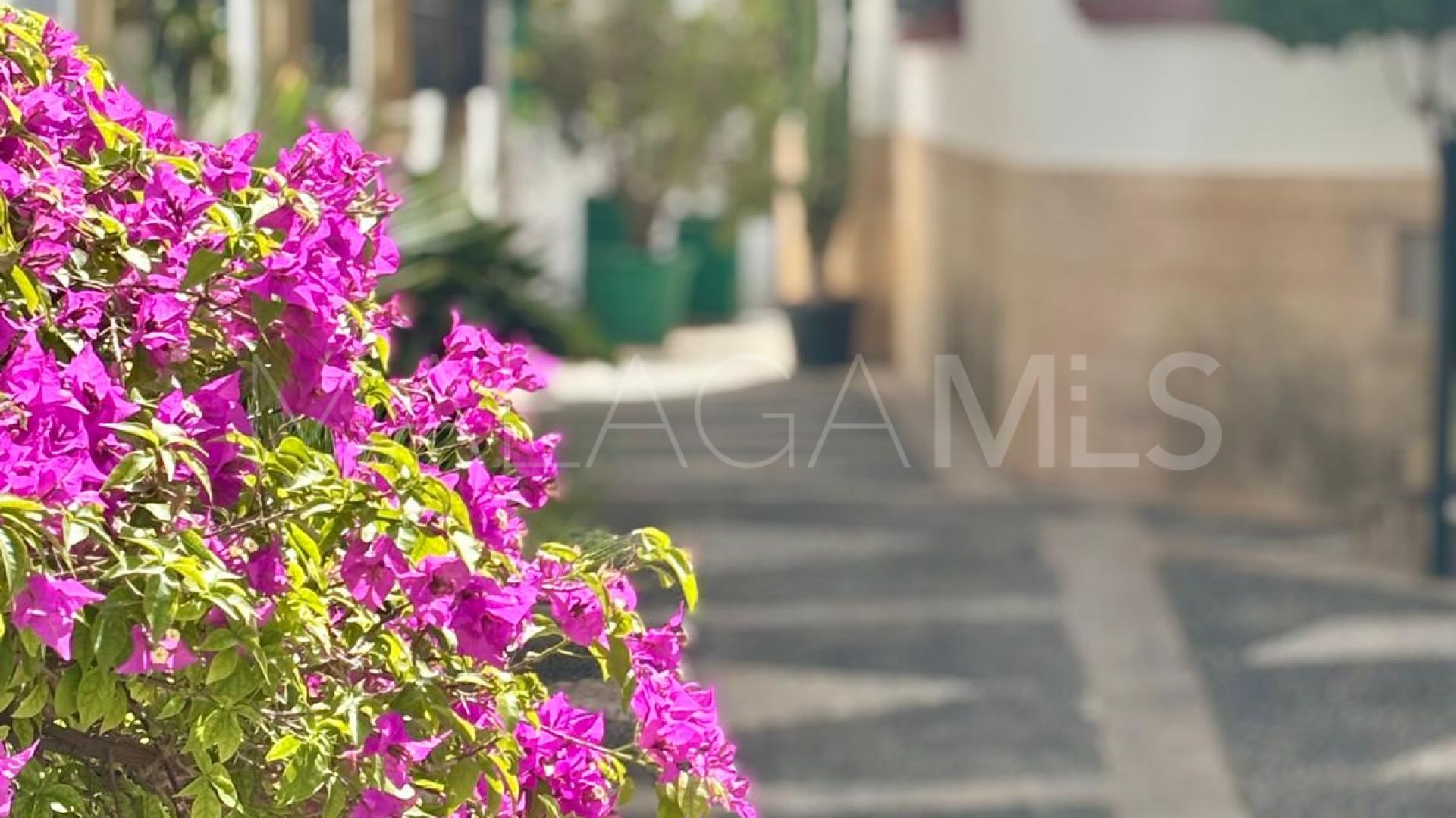 Se vende local comercial in Estepona Casco Antiguo