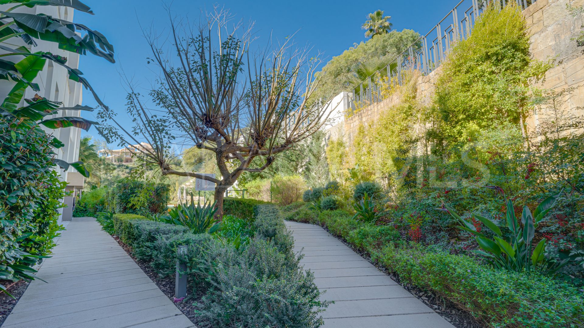 Appartement for sale in Botanic