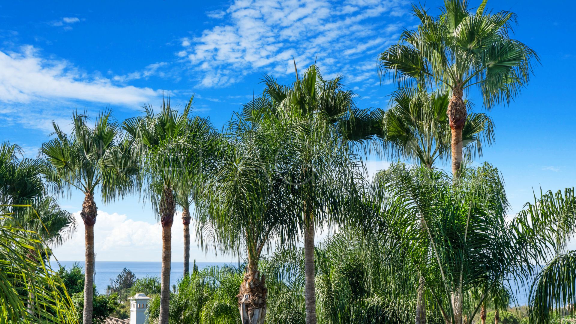 Villa for sale in Lomas de Magna Marbella