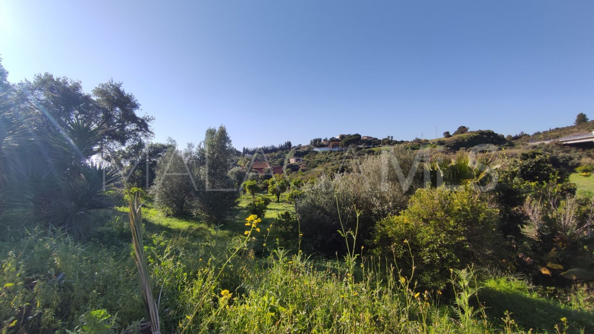 Landhaus for sale in El Padron