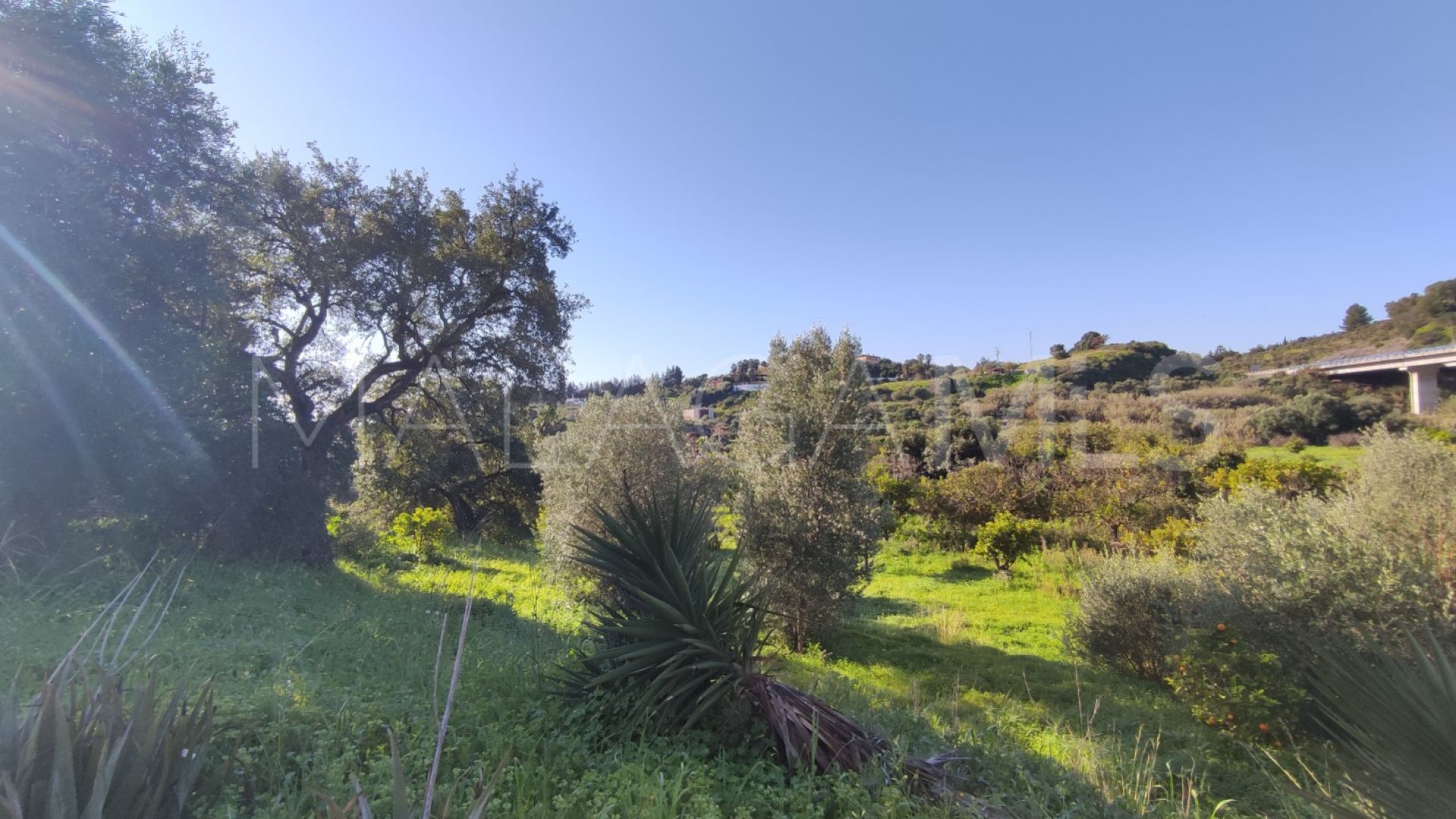 Landhaus for sale in El Padron