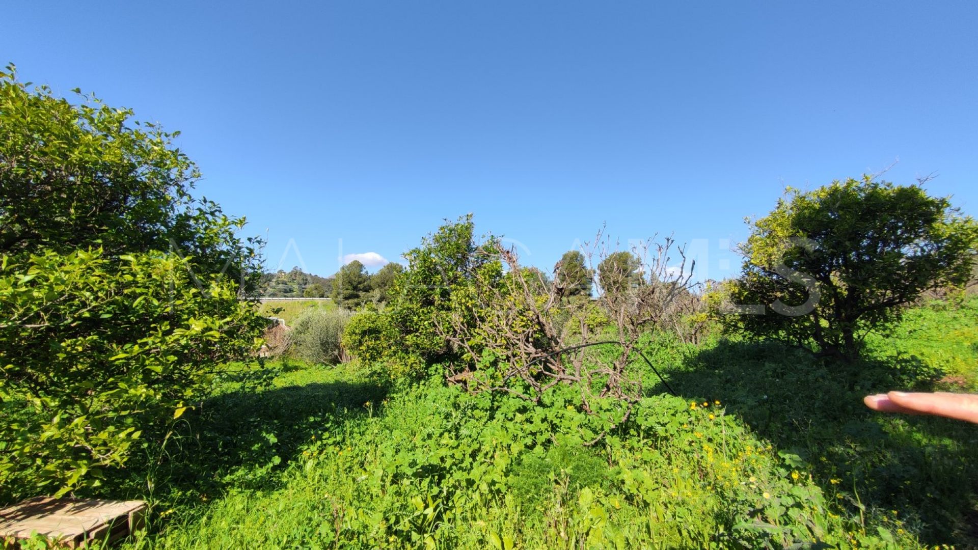 Landhaus for sale in El Padron