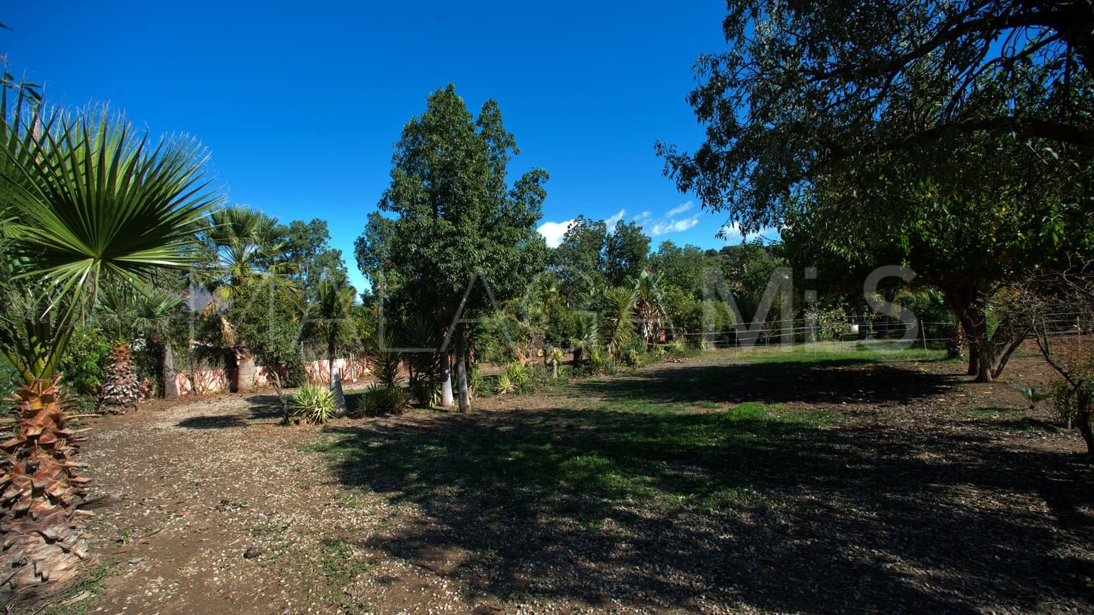 Maison de campagne for sale in Guadalobon