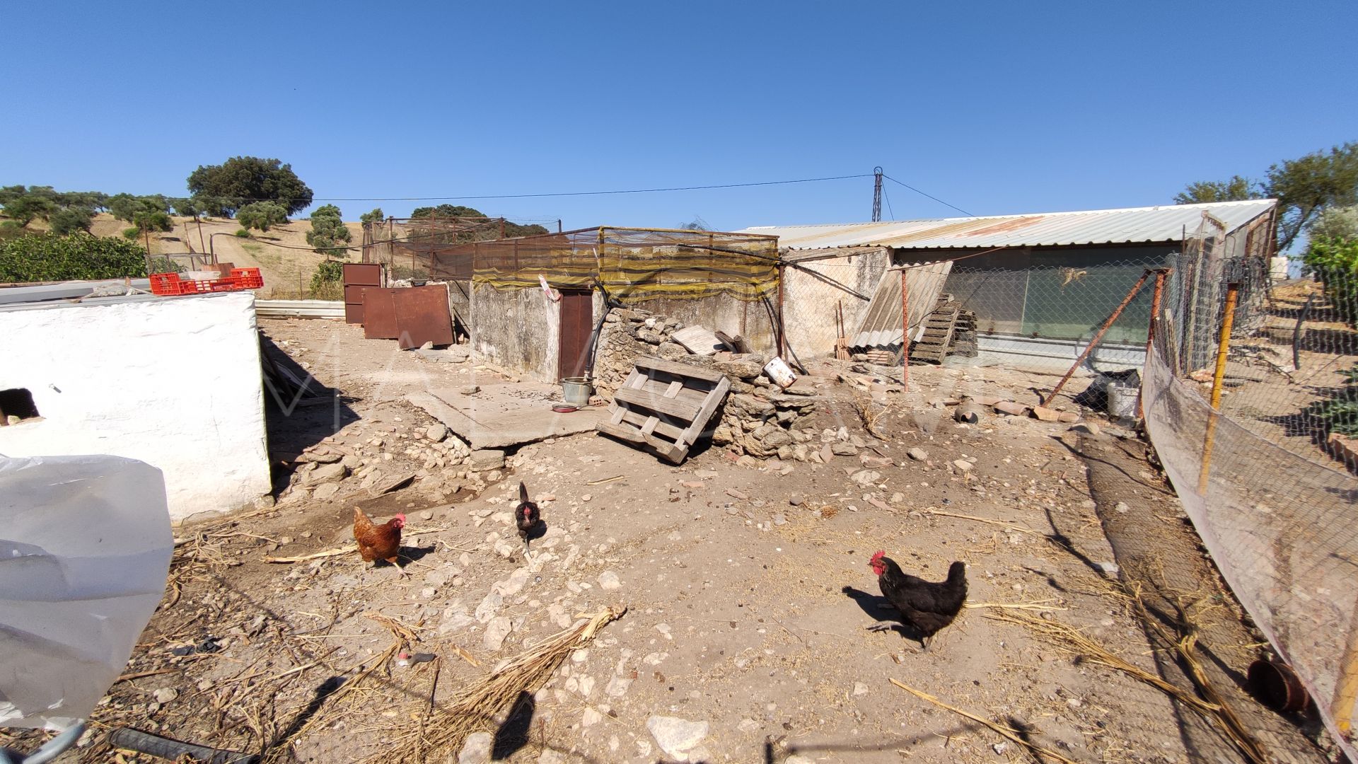 4 bedrooms country house in Ronda for sale