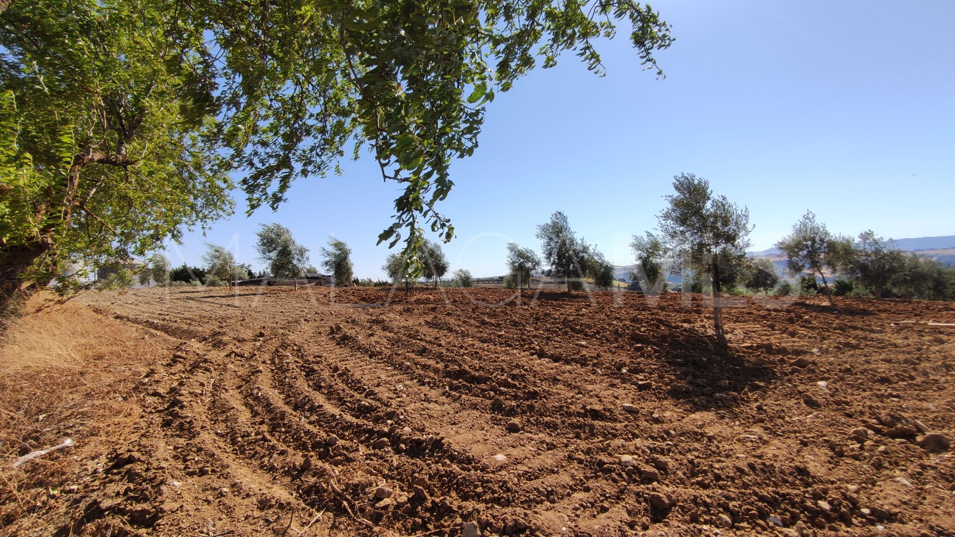 4 bedrooms country house in Ronda for sale