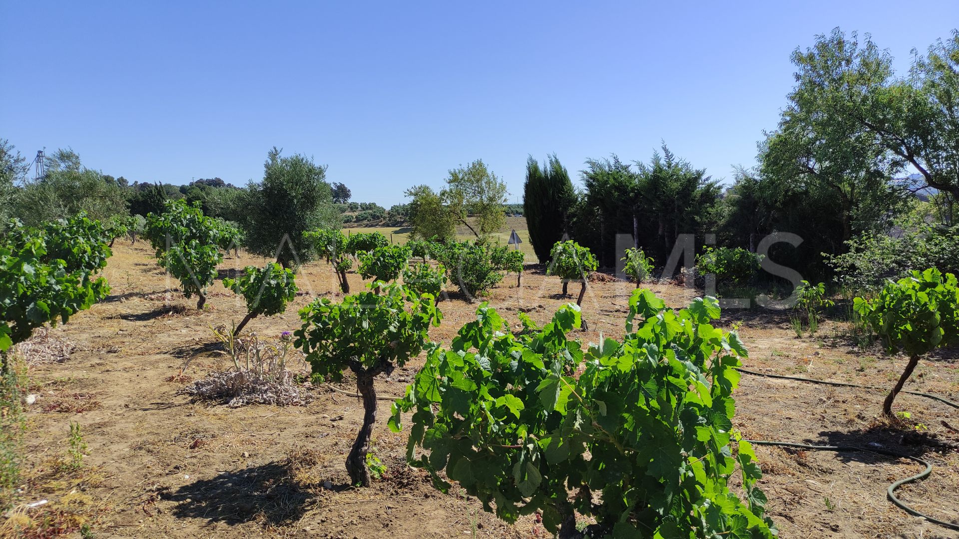 4 bedrooms country house in Ronda for sale