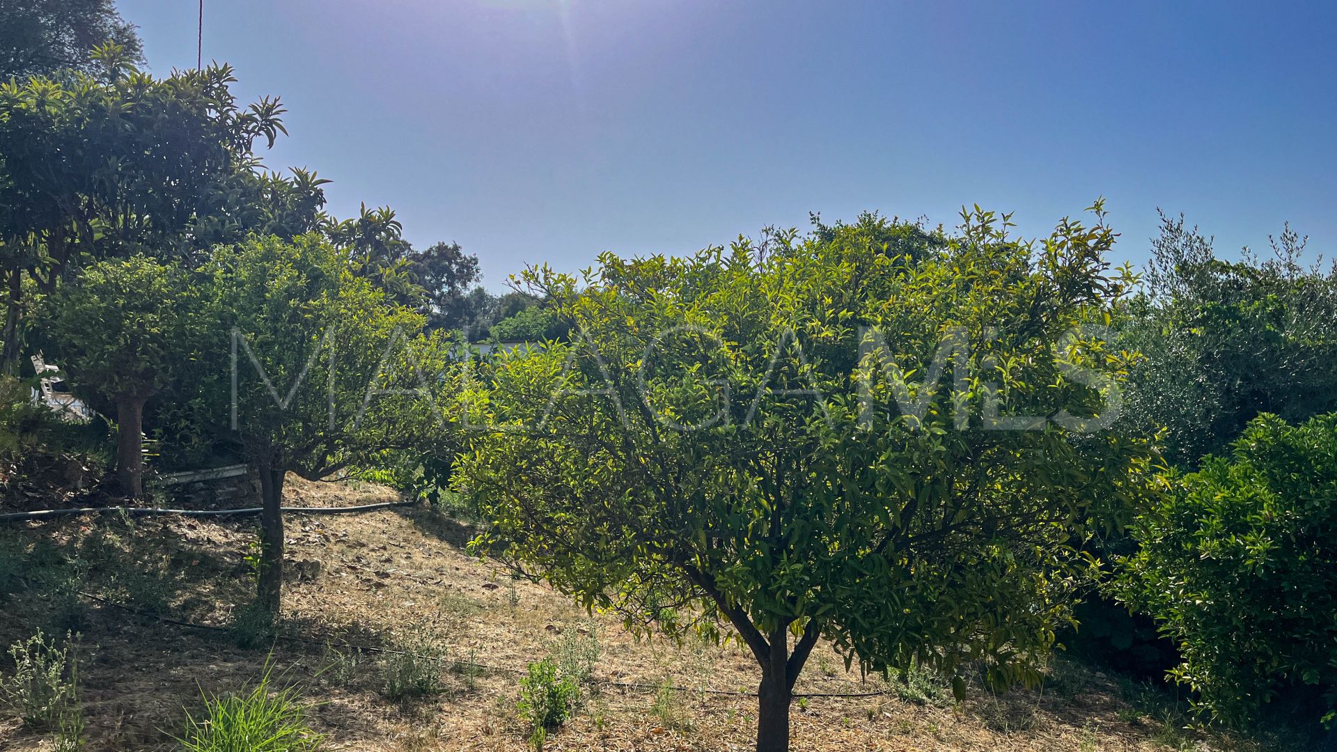 Buy Guaro 4 bedrooms country house