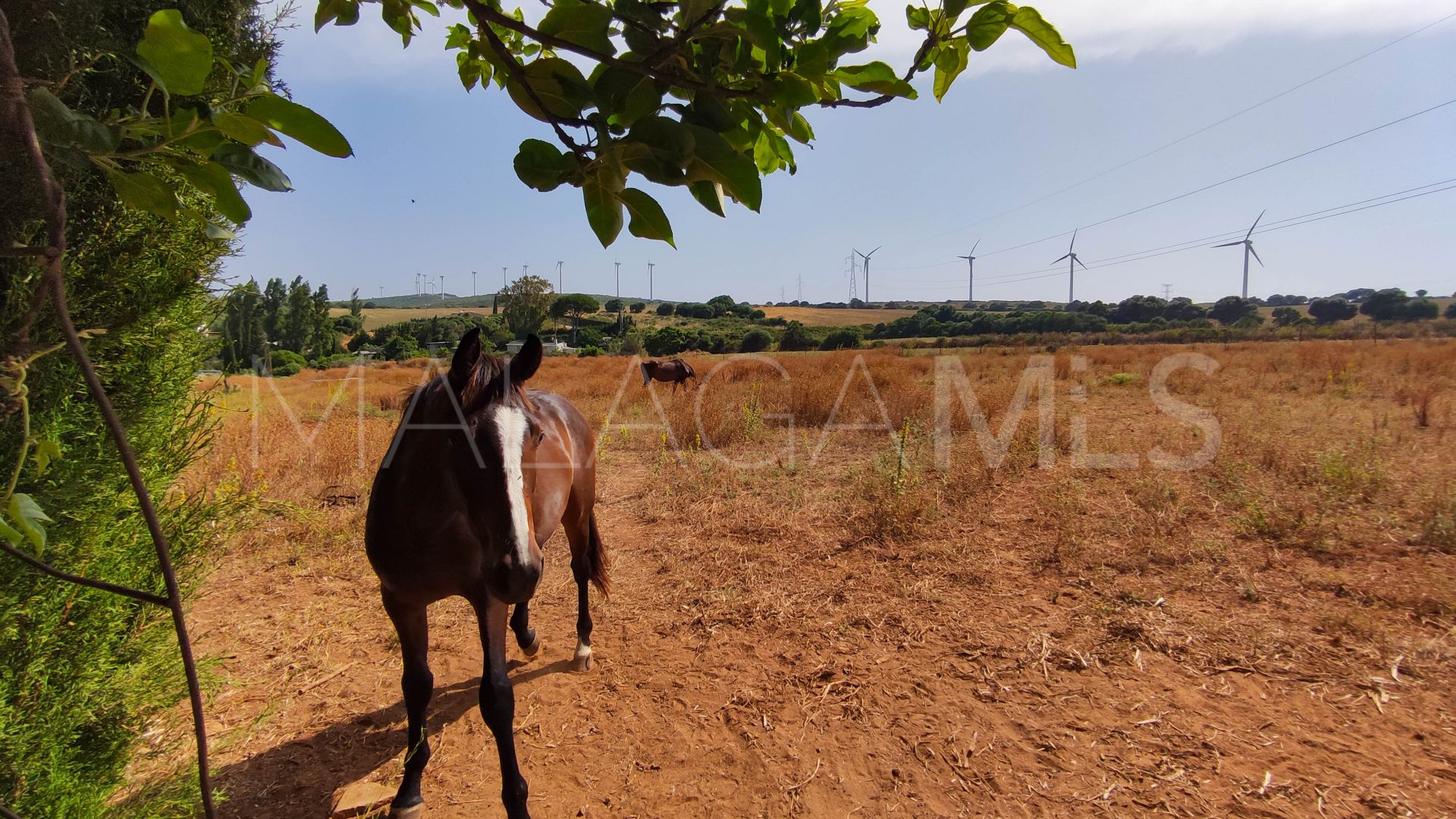 Maison de campagne for sale in Casares Montaña