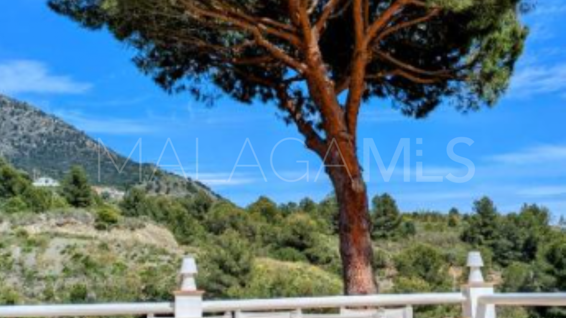 4 bedrooms Torreblanca villa for sale