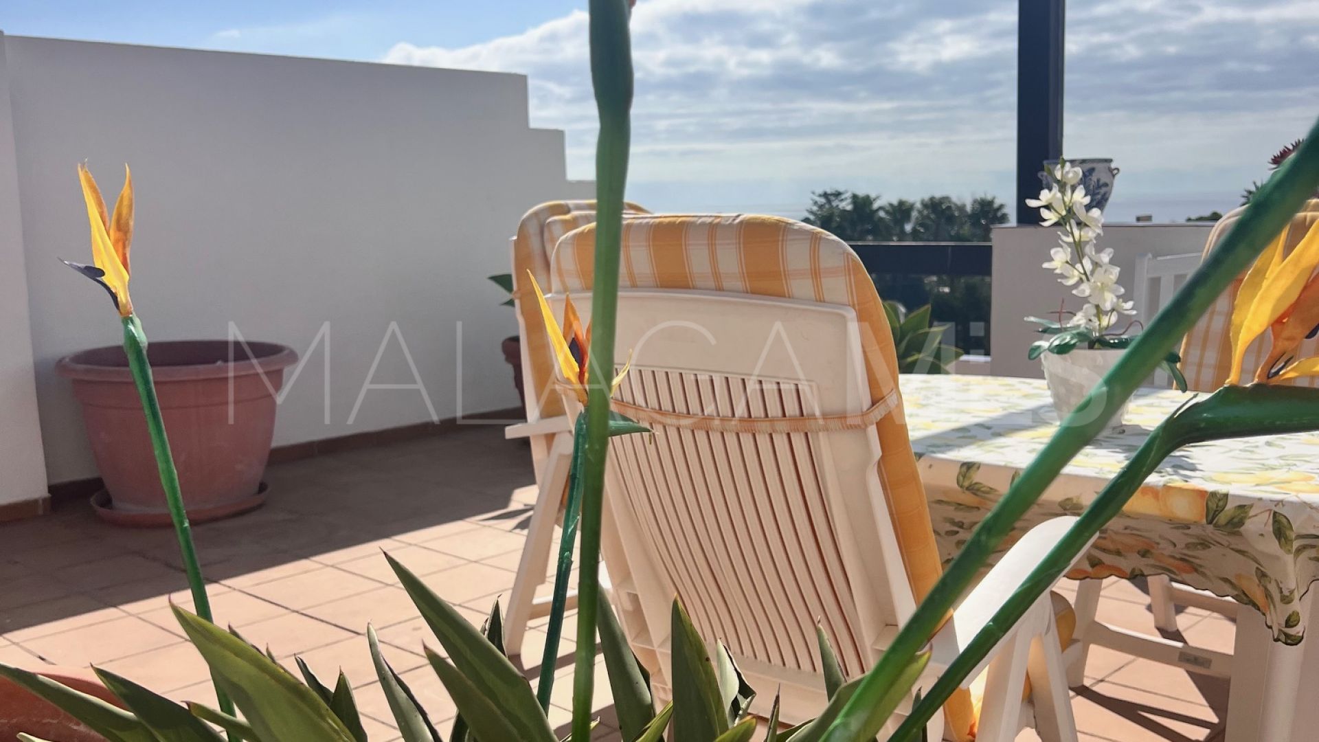 Buy Ático in Las Jacarandas with 2 bedrooms