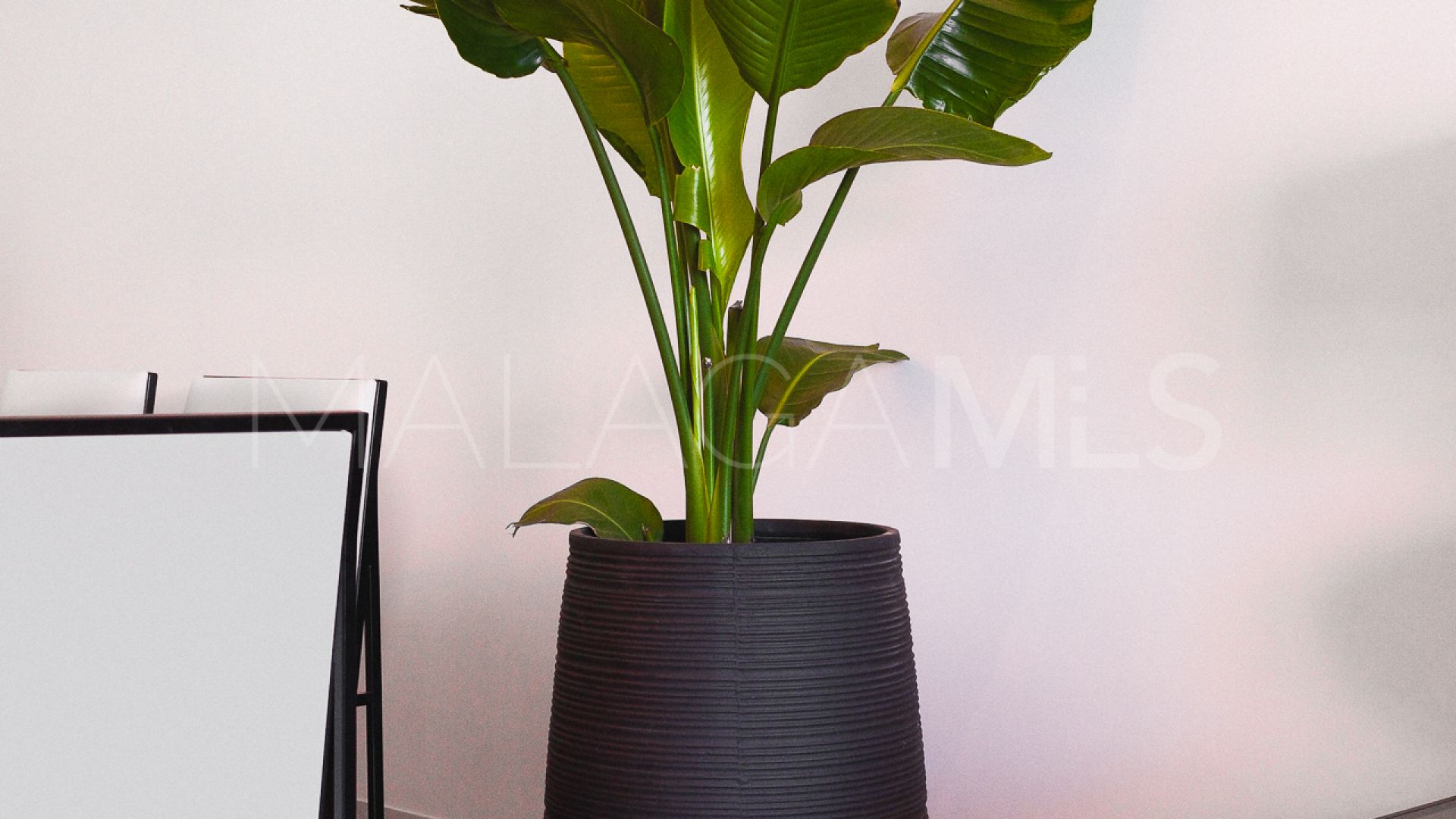 Appartement terrasse for sale in Los Arqueros Beach