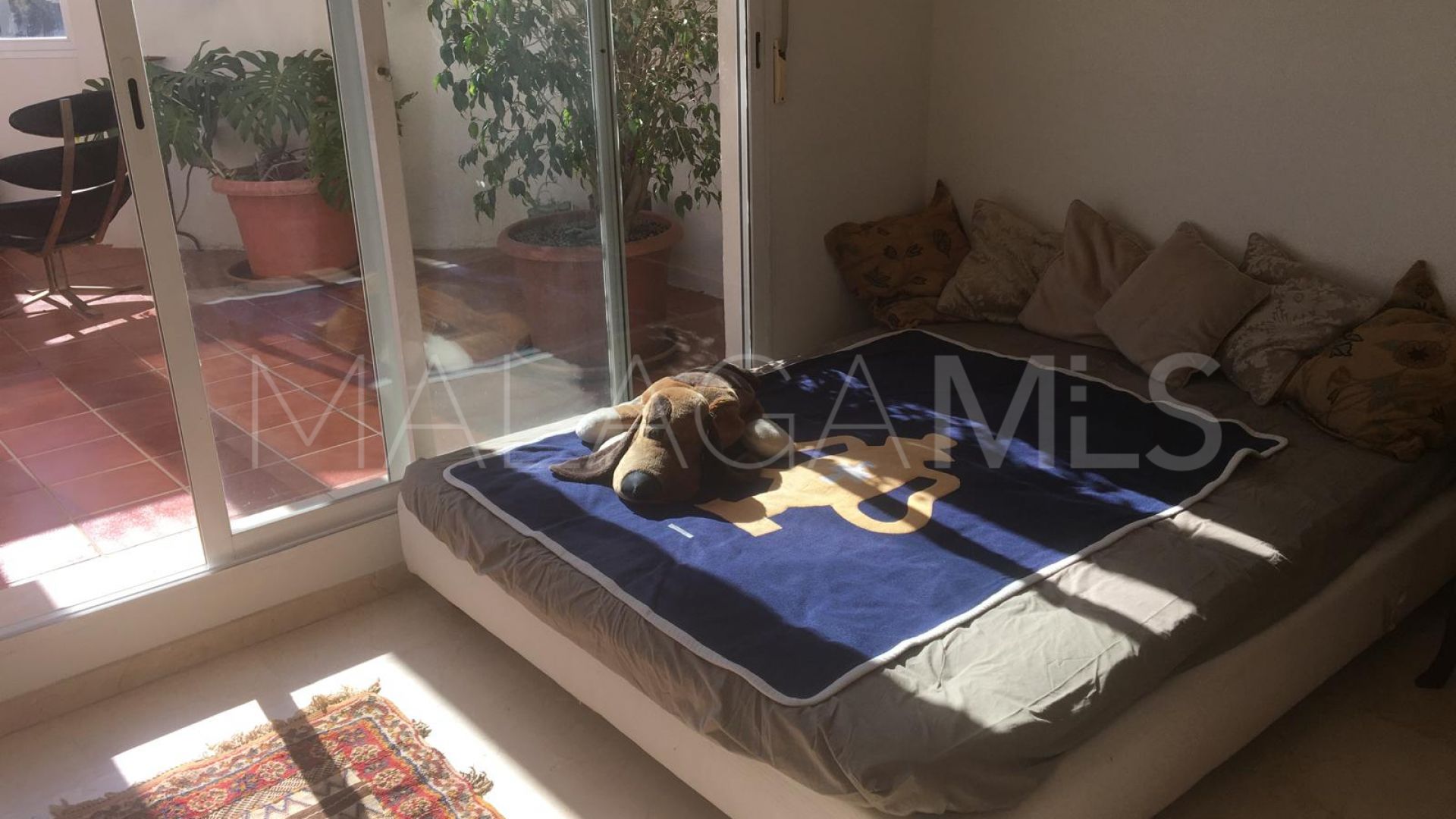 Atico duplex for sale de 3 bedrooms in S. Pedro Centro