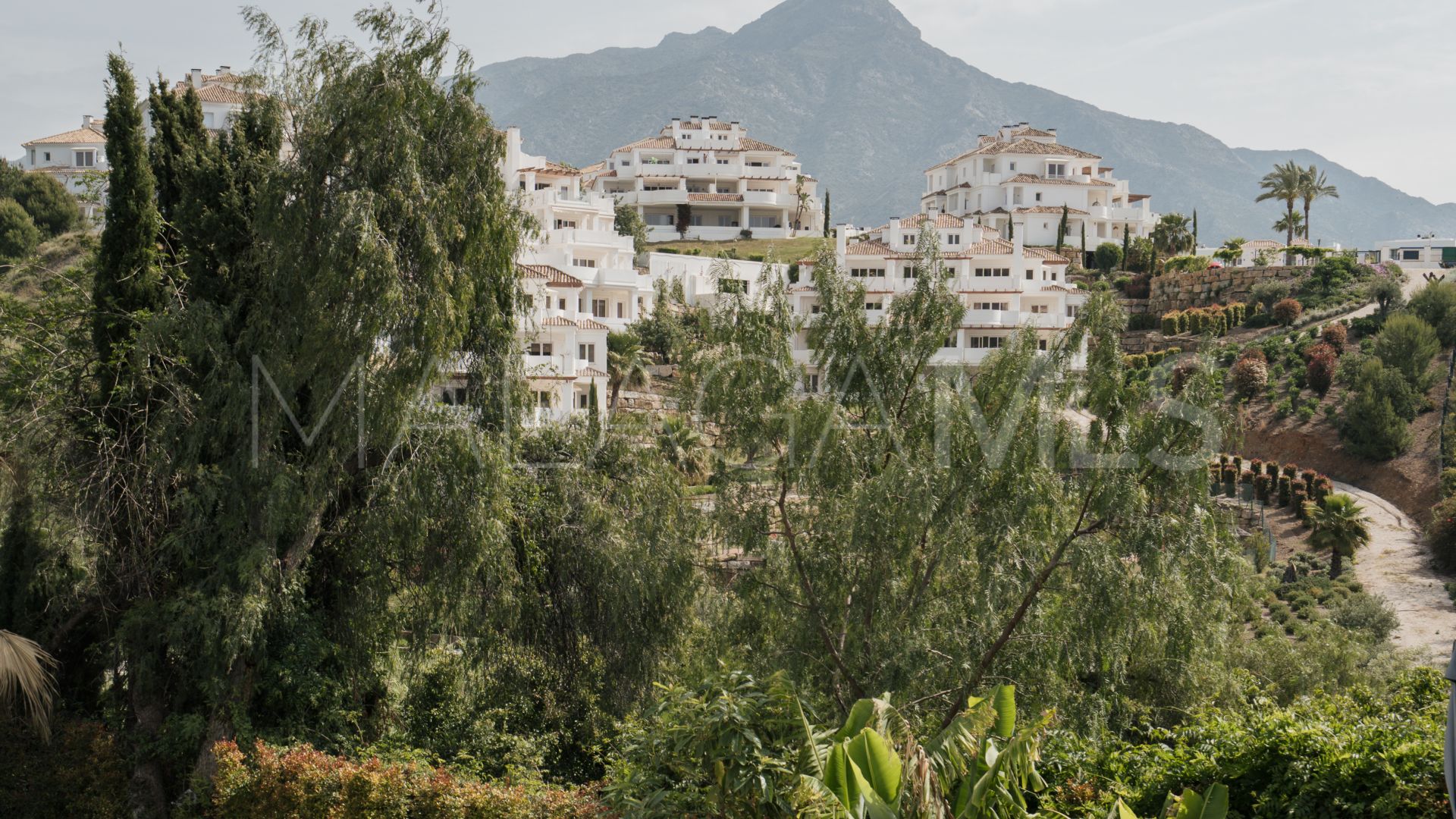 For sale villa with 5 bedrooms in Los Naranjos Hill Club