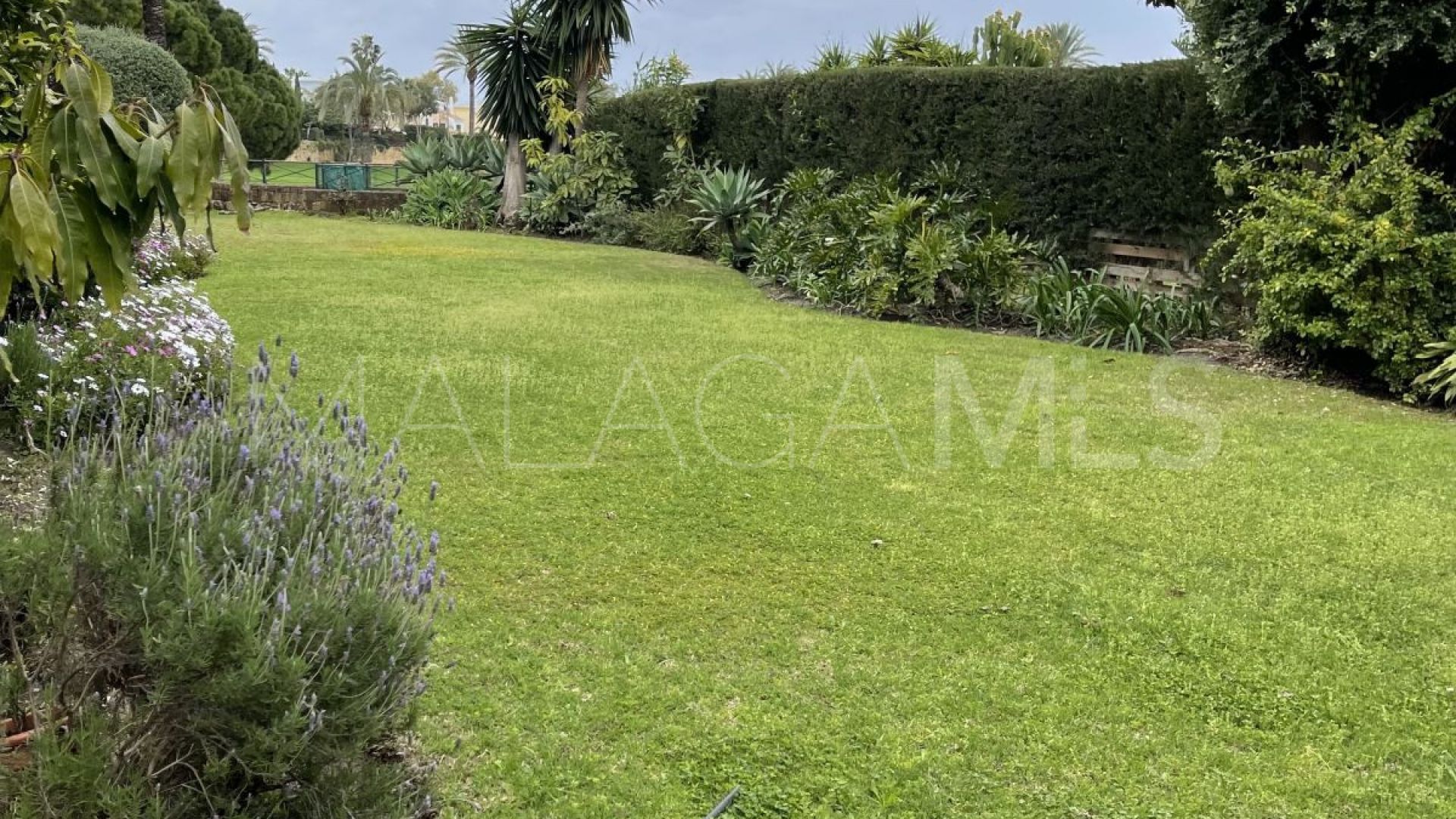 Villa for sale in Guadalmina Alta