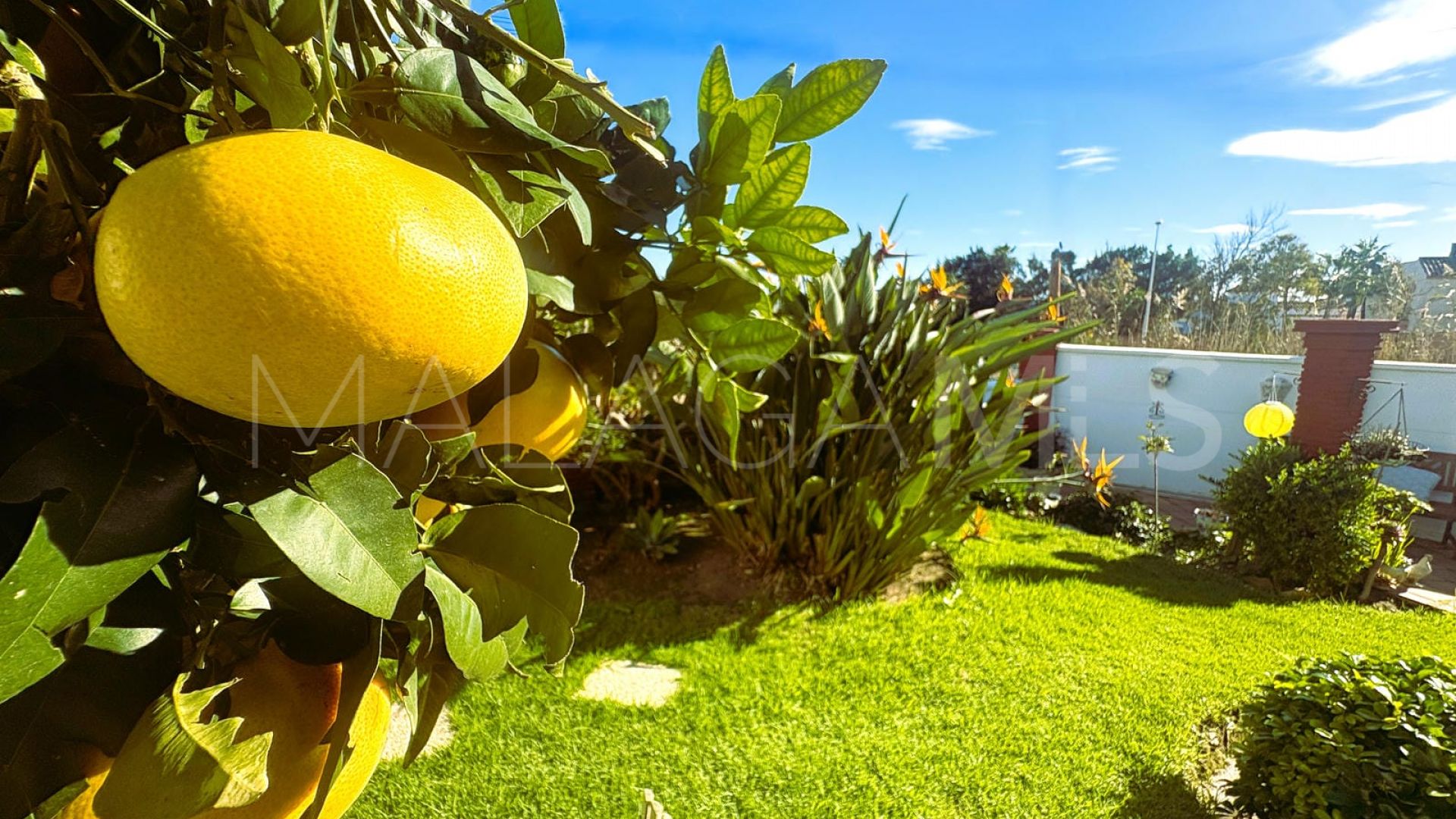 Villa for sale in Casares Playa