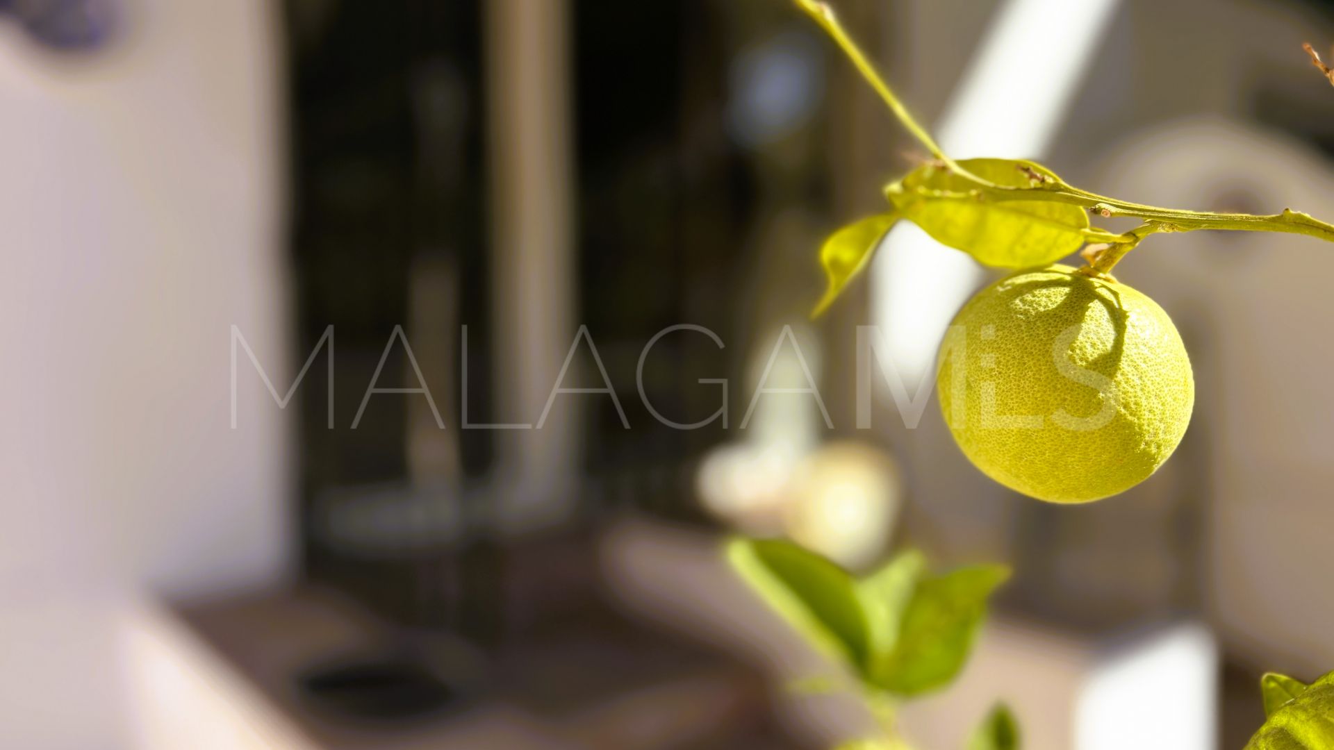 Appartement rez de chaussée for sale in Los Hidalgos