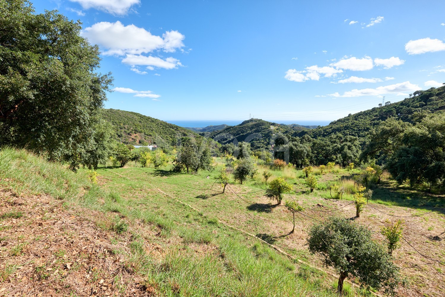 Villa with charm located in Sierra Bermeja, Estepona