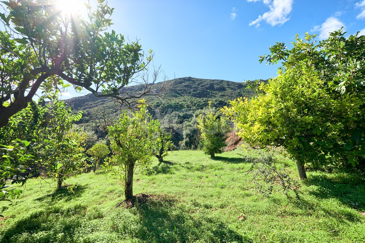 Villa with charm located in Sierra Bermeja, Estepona