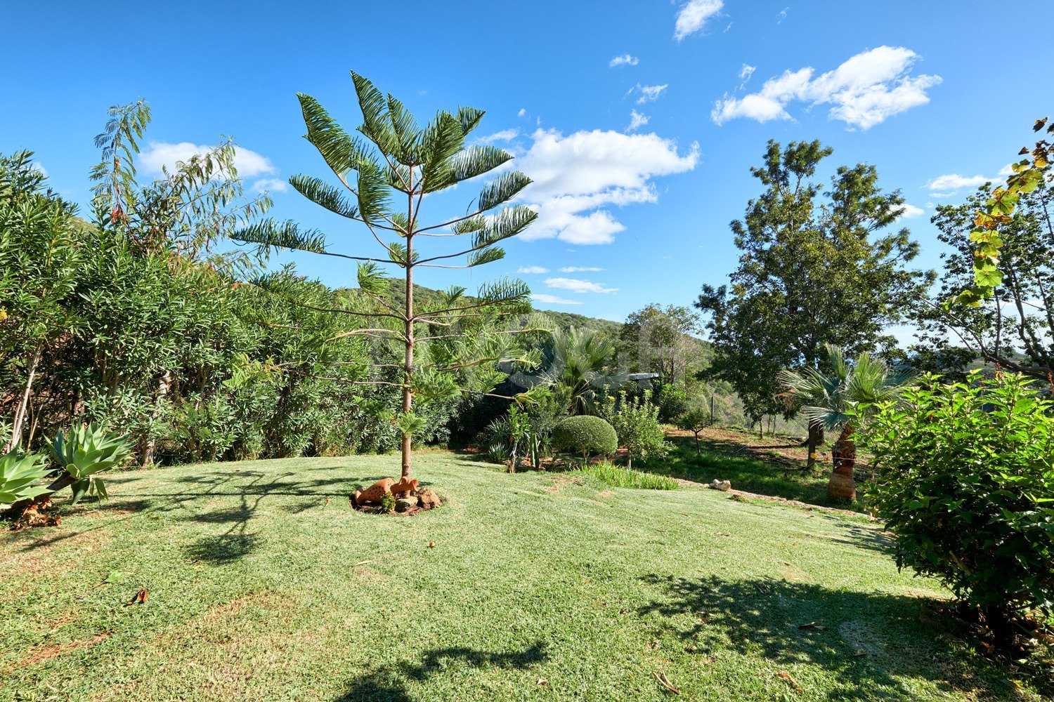 Villa with charm located in Sierra Bermeja, Estepona