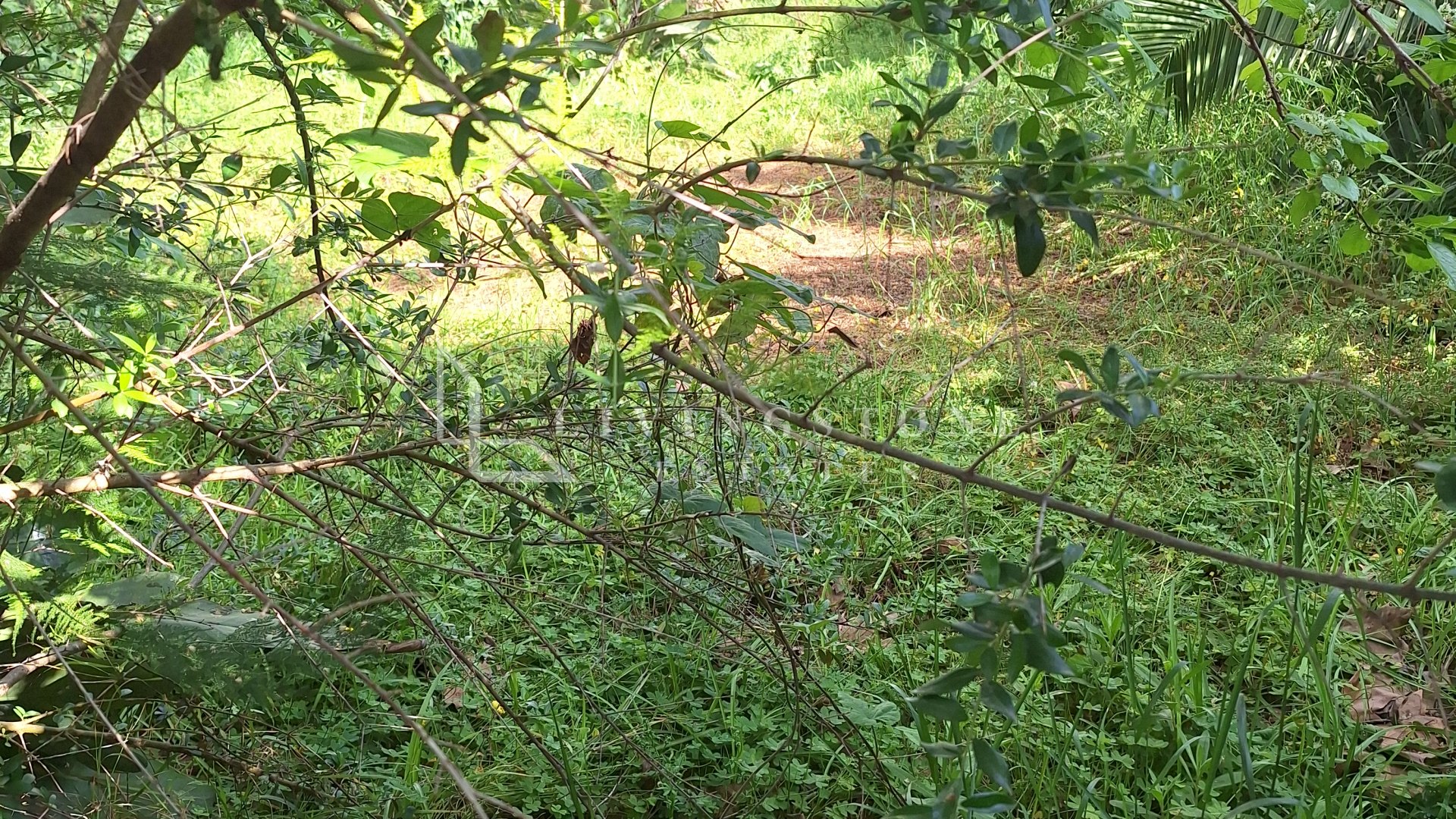 Investment opportunity