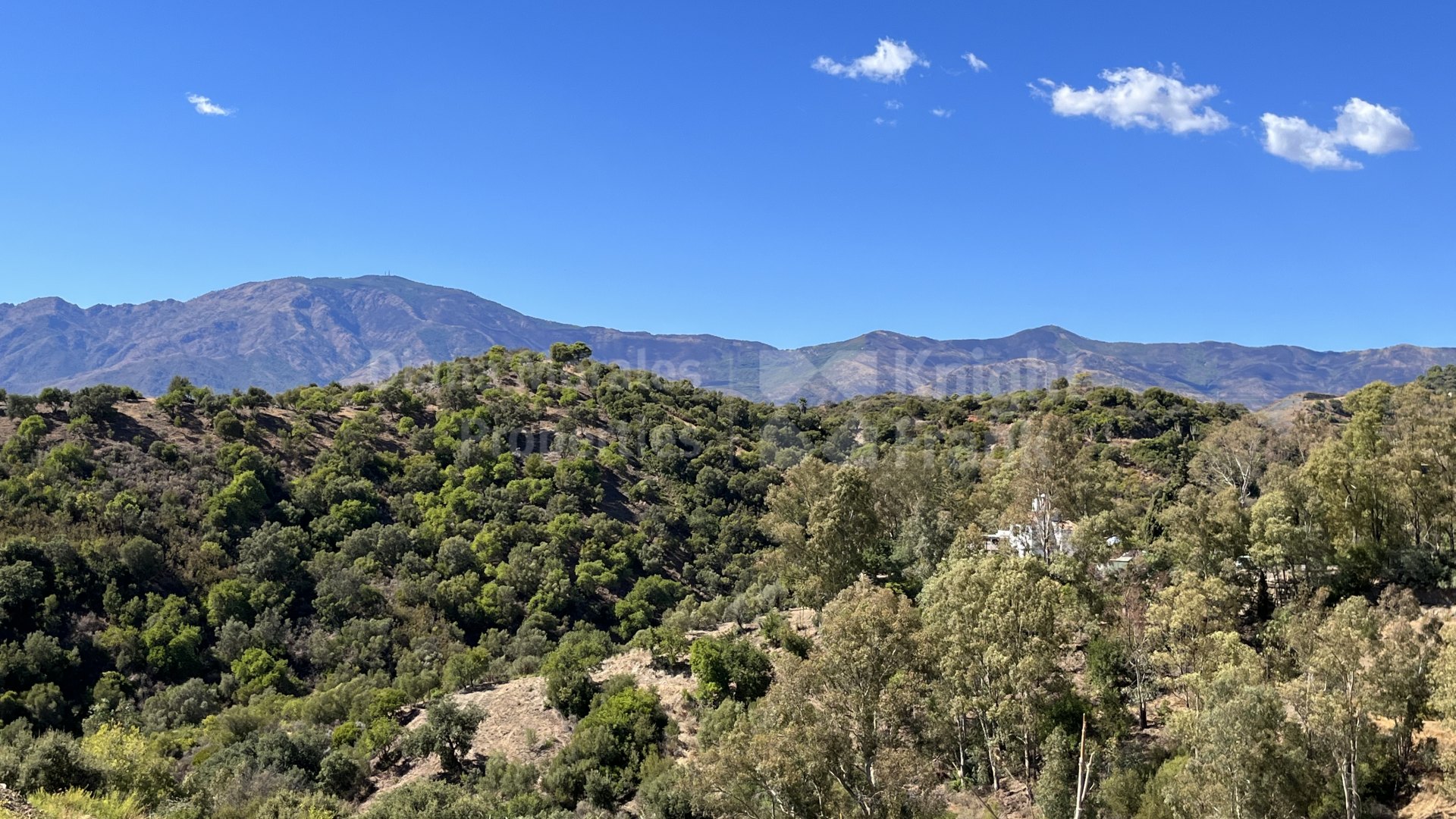 La Panera, Участок с видом на горы в Ла Панера, Новый Золотой Миля