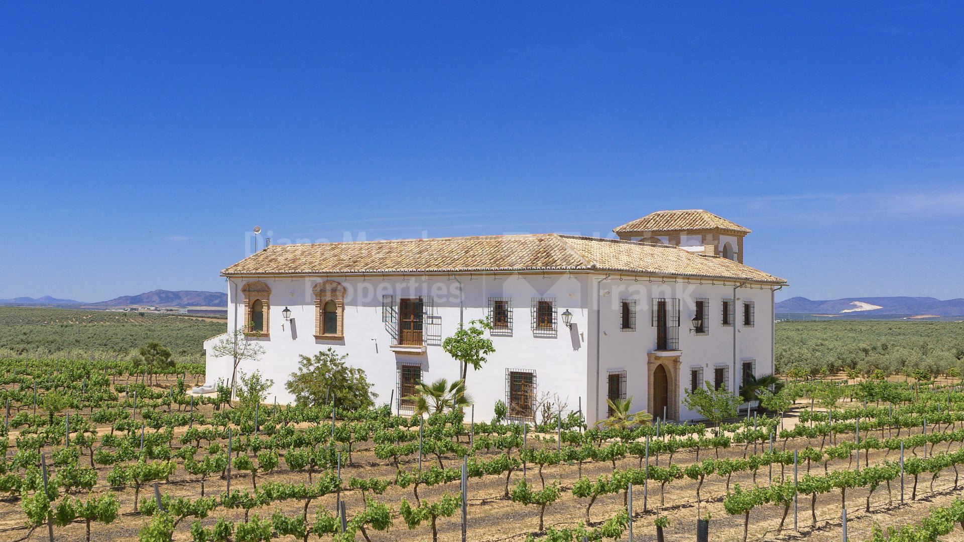 Una casa de campo en Antequera con viñedos, piscina y bonitas vistas