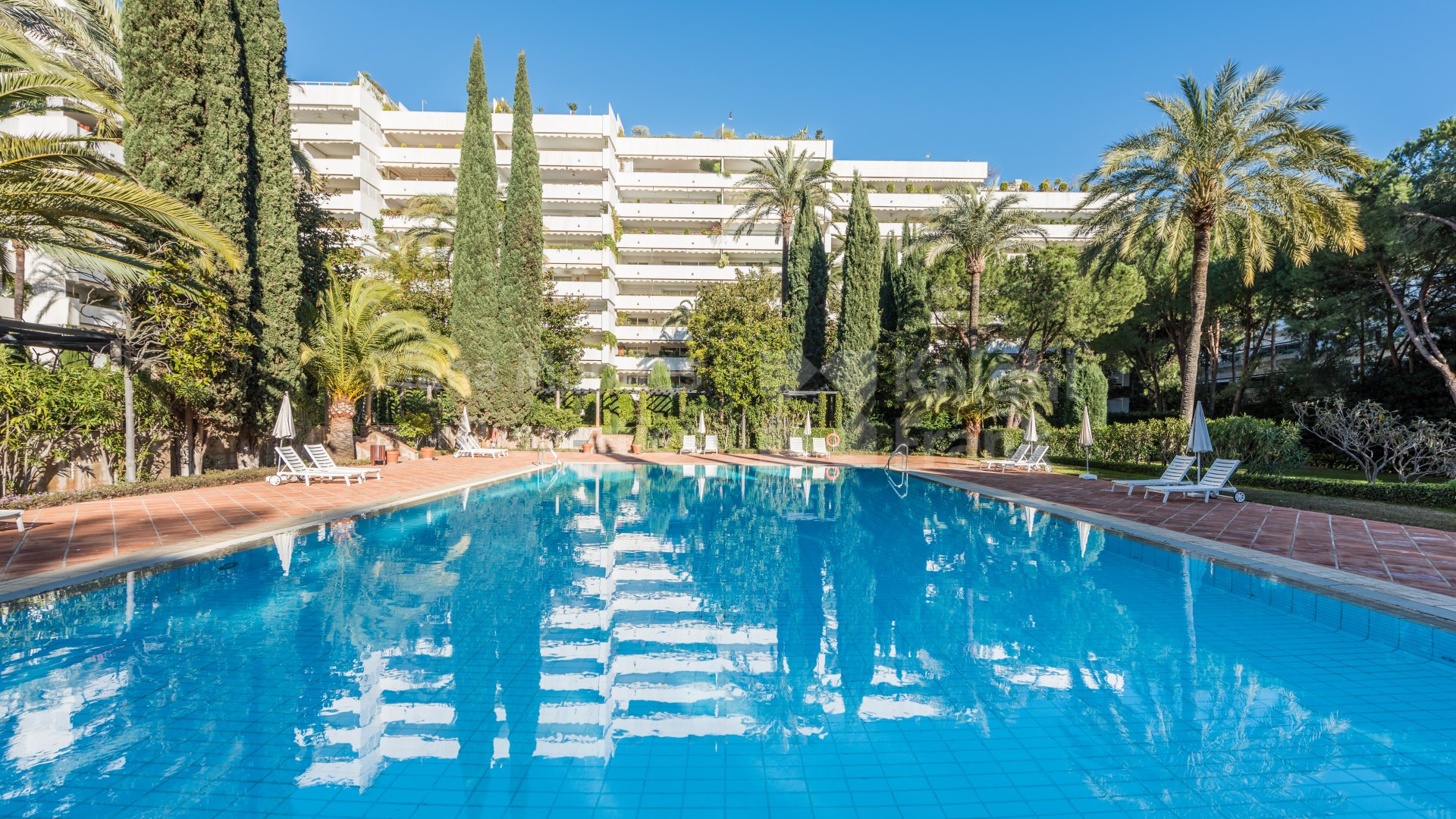 Welcome to Don Gonzalo 3, stunning flat in Marbella
